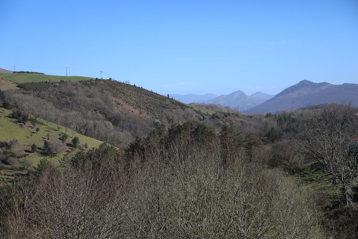 When wrf simulation test is conducted for extreme precipitation in henan province why does increasing the height of funiu mountain range and taihang mountain range in the west and northwest of henan p