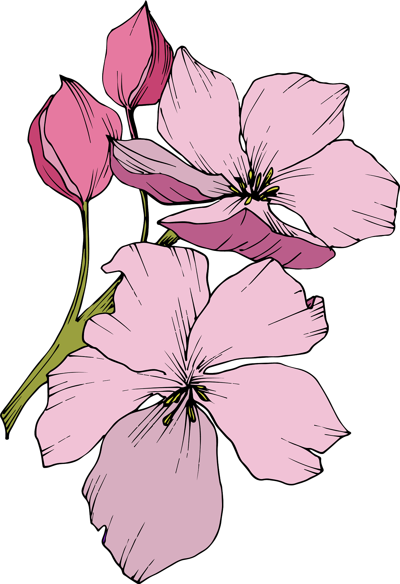 苹果手机录制的视频在剪影编辑过后为什么在电脑上放颜色变成了粉色了呢帮我用200字详细描述