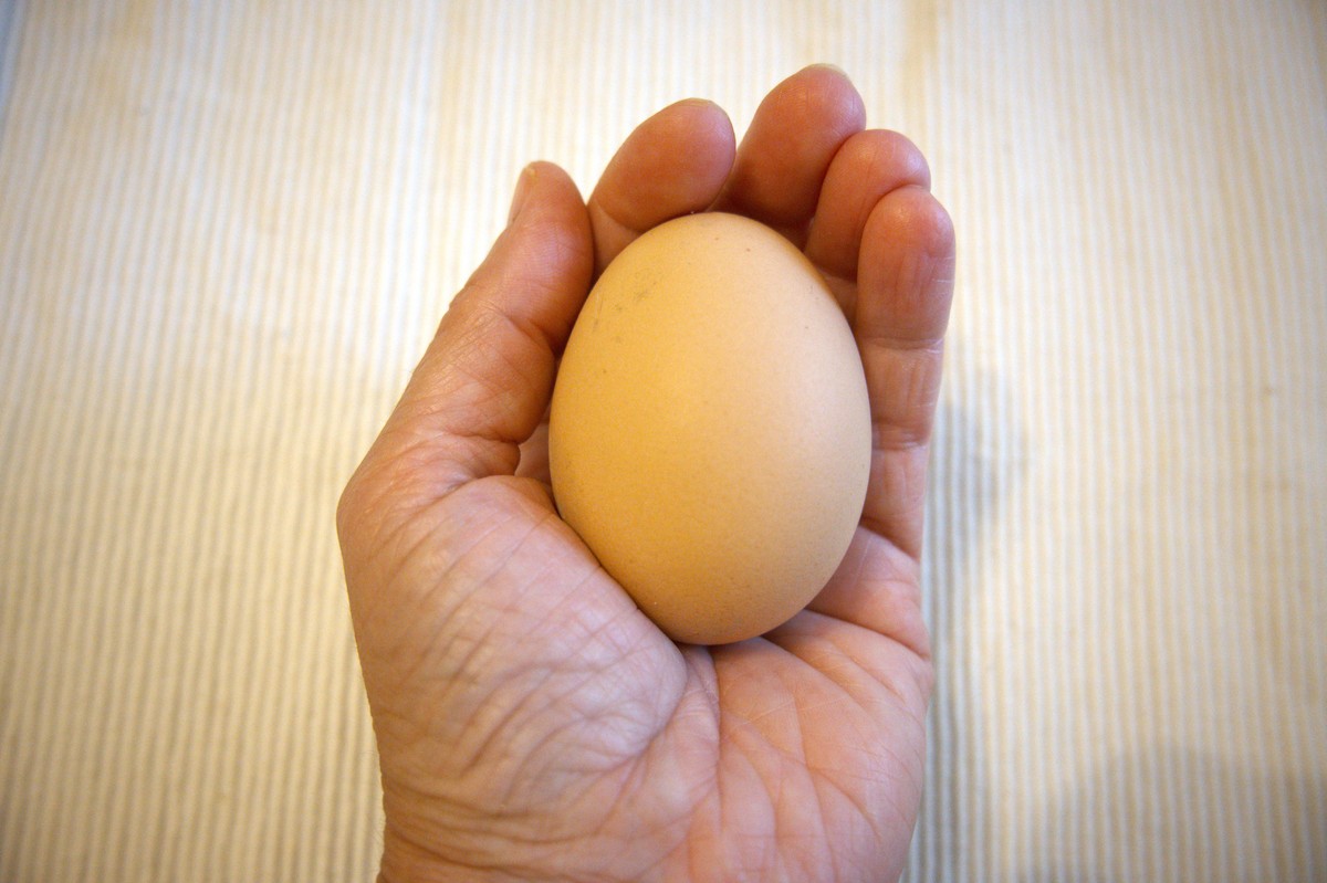 如何辨别真假鸡蛋？5个简单方法教你识破！