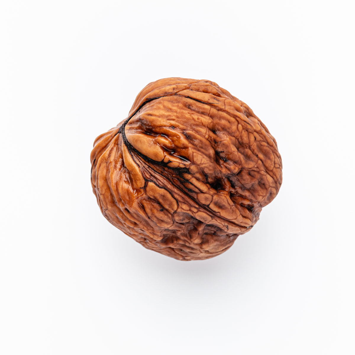 文玩核桃白狮子品种好吗