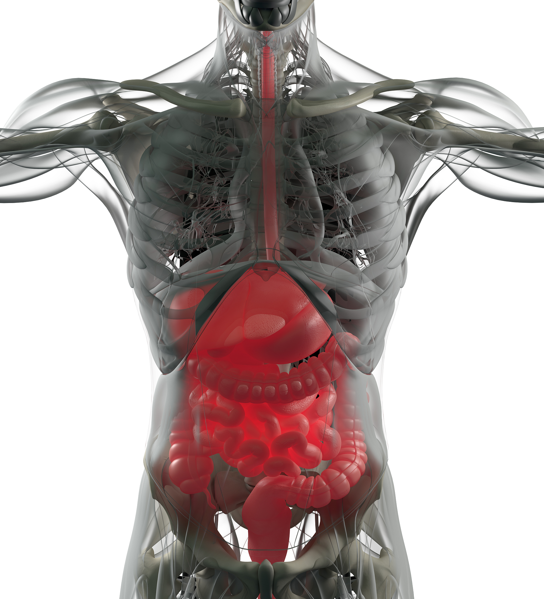 左肾位置是在脾脏附近嘛？
