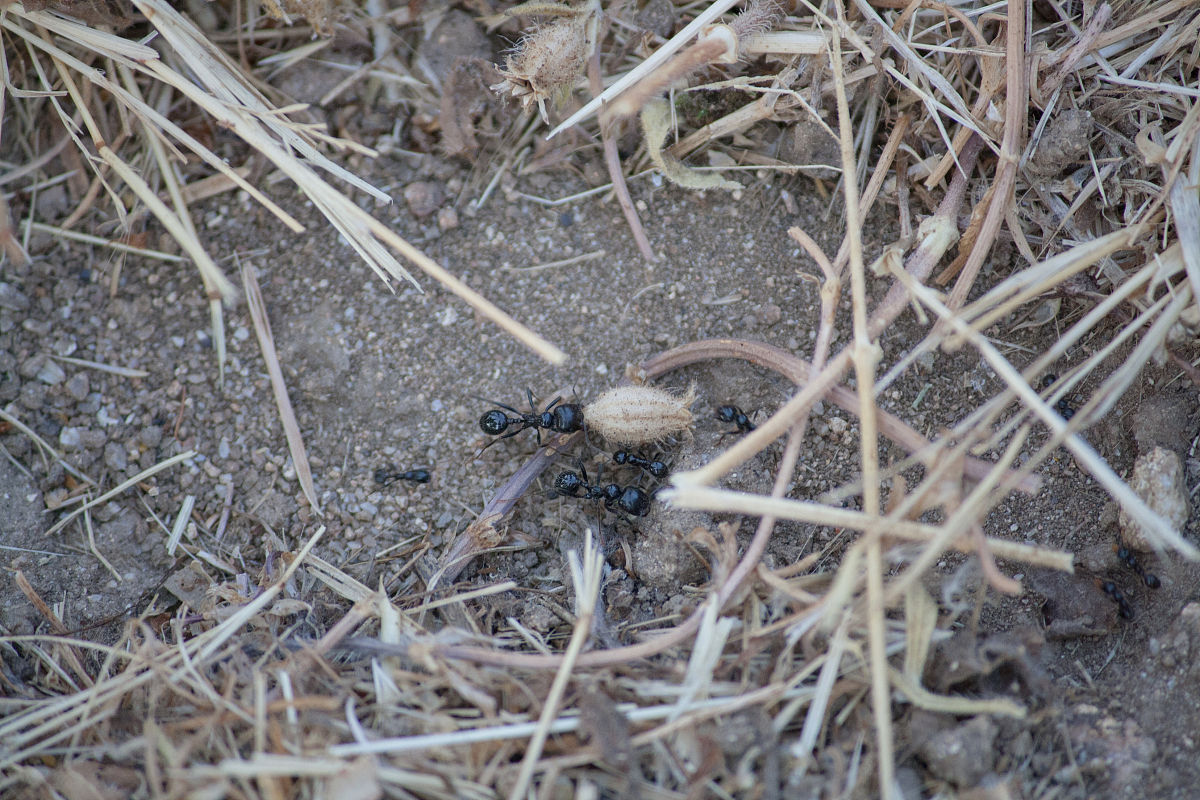 福建船政交通职业学院电气自动化技术专业专业都学些什么