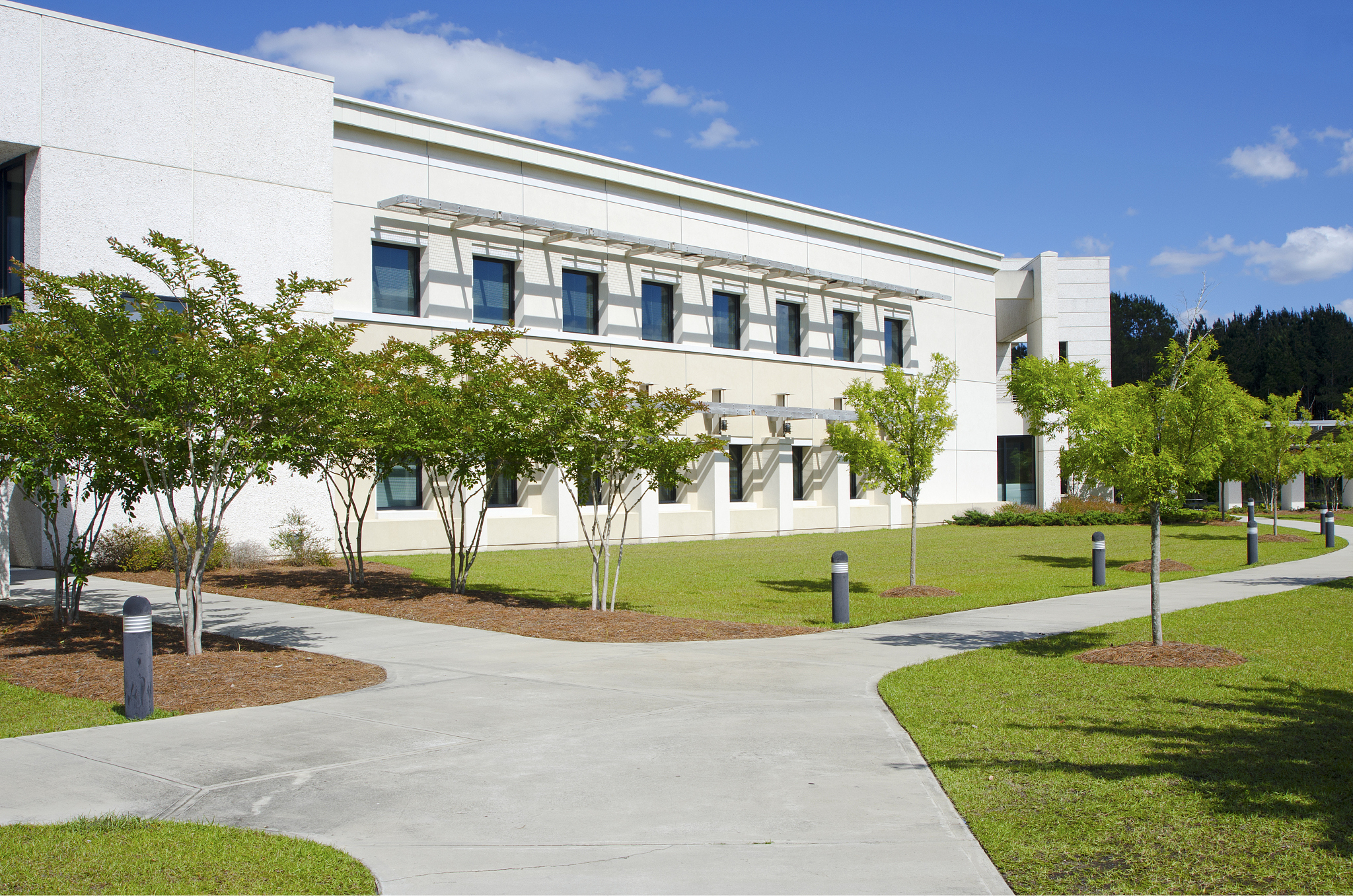 technical college