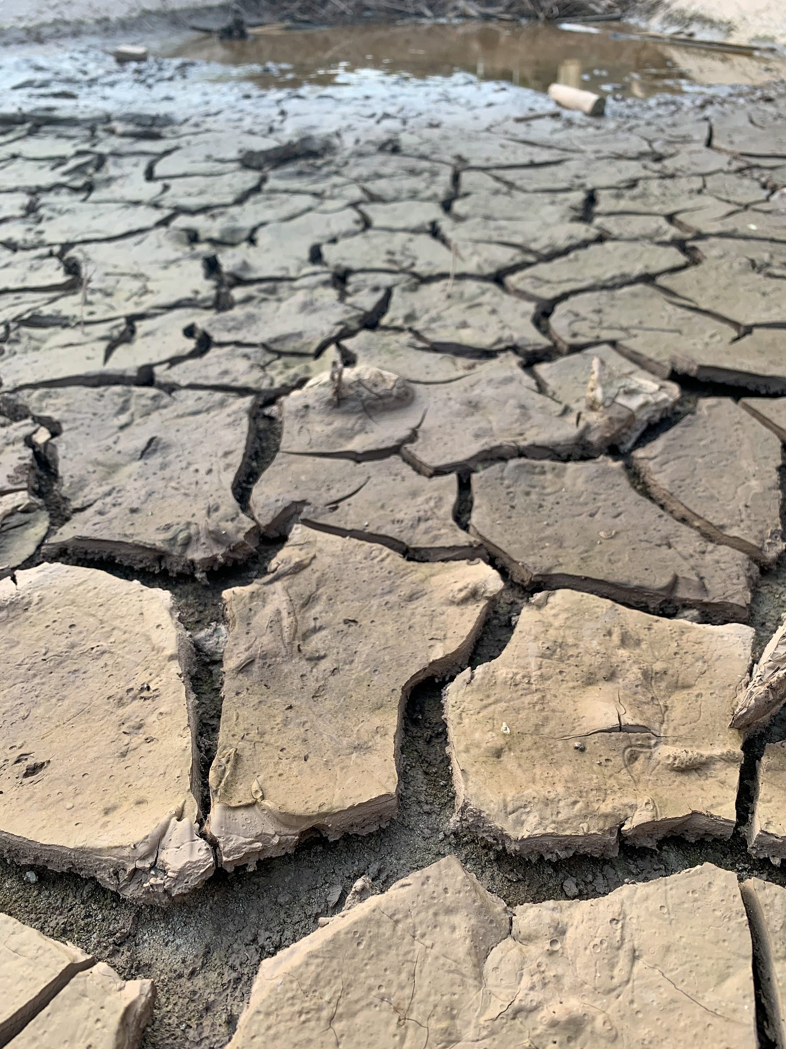 以下属于自然环境组成的是