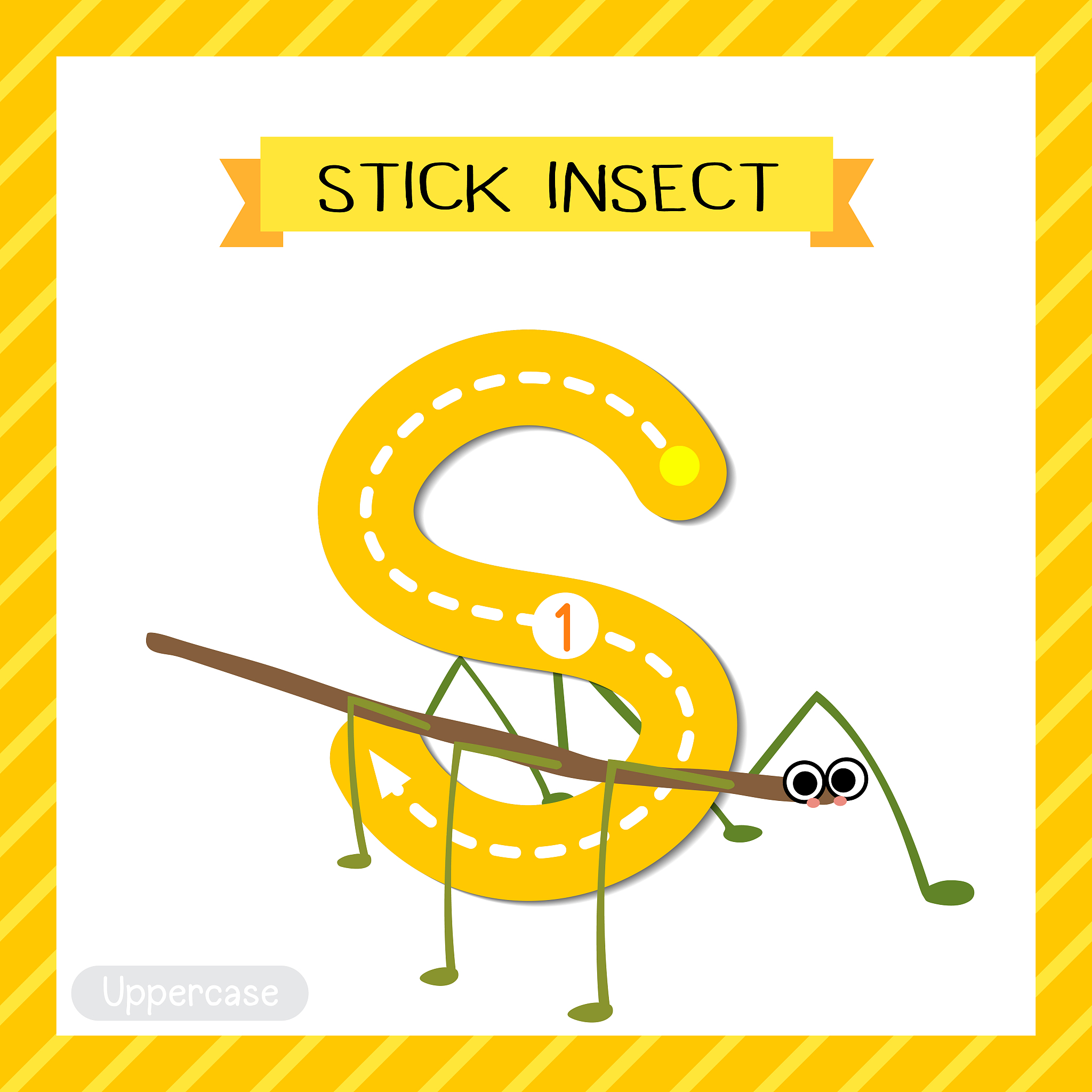 RWO字母组合能组成哪些单词？