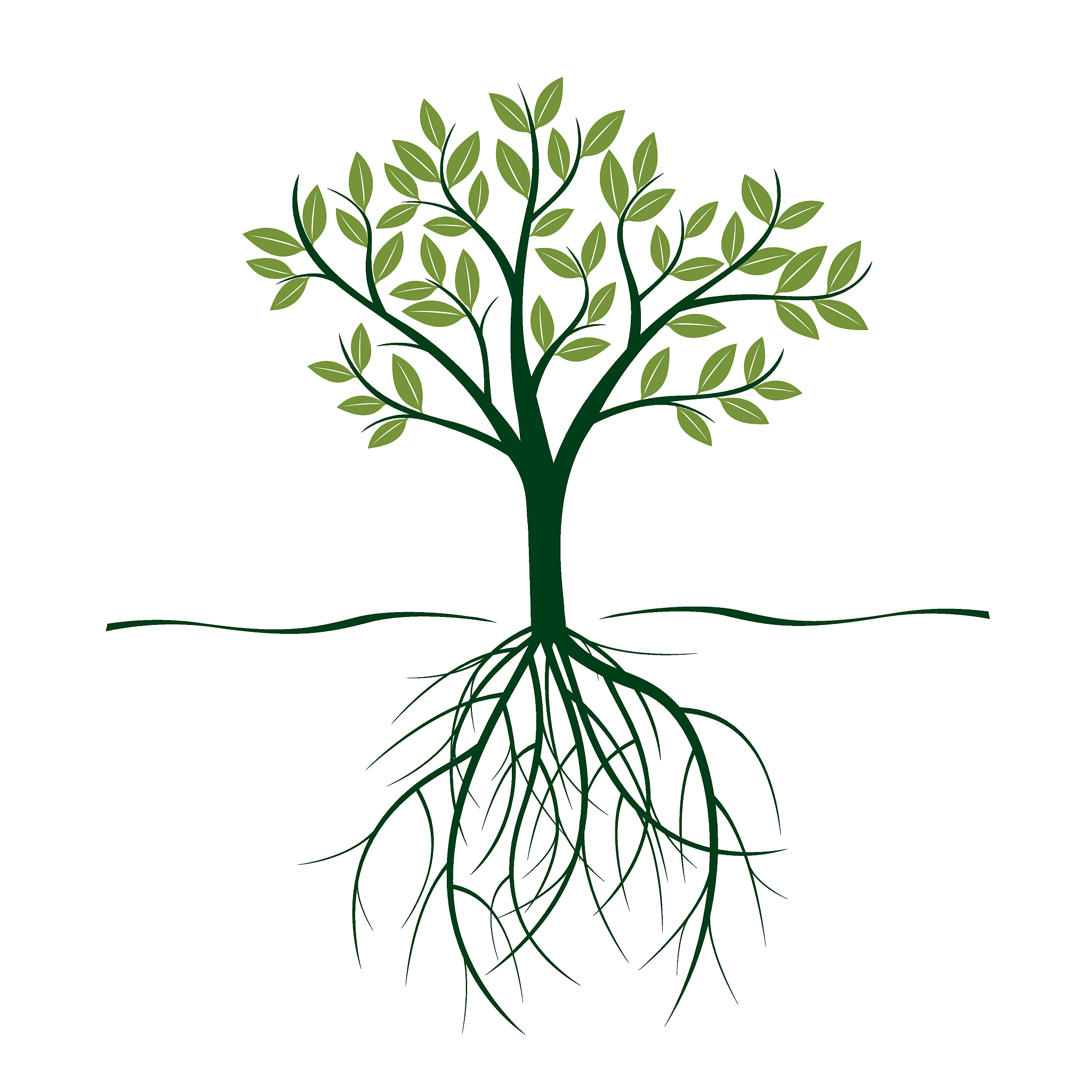 用不同的词语说后边这句话，阻扰植物根部对土壤中养分的摄取，导致植物的营养不良，难以生长