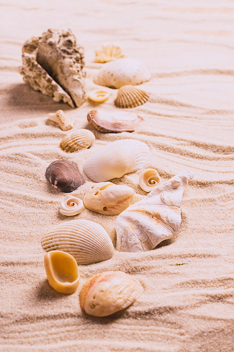 按照小学三年级水平写暑假日记