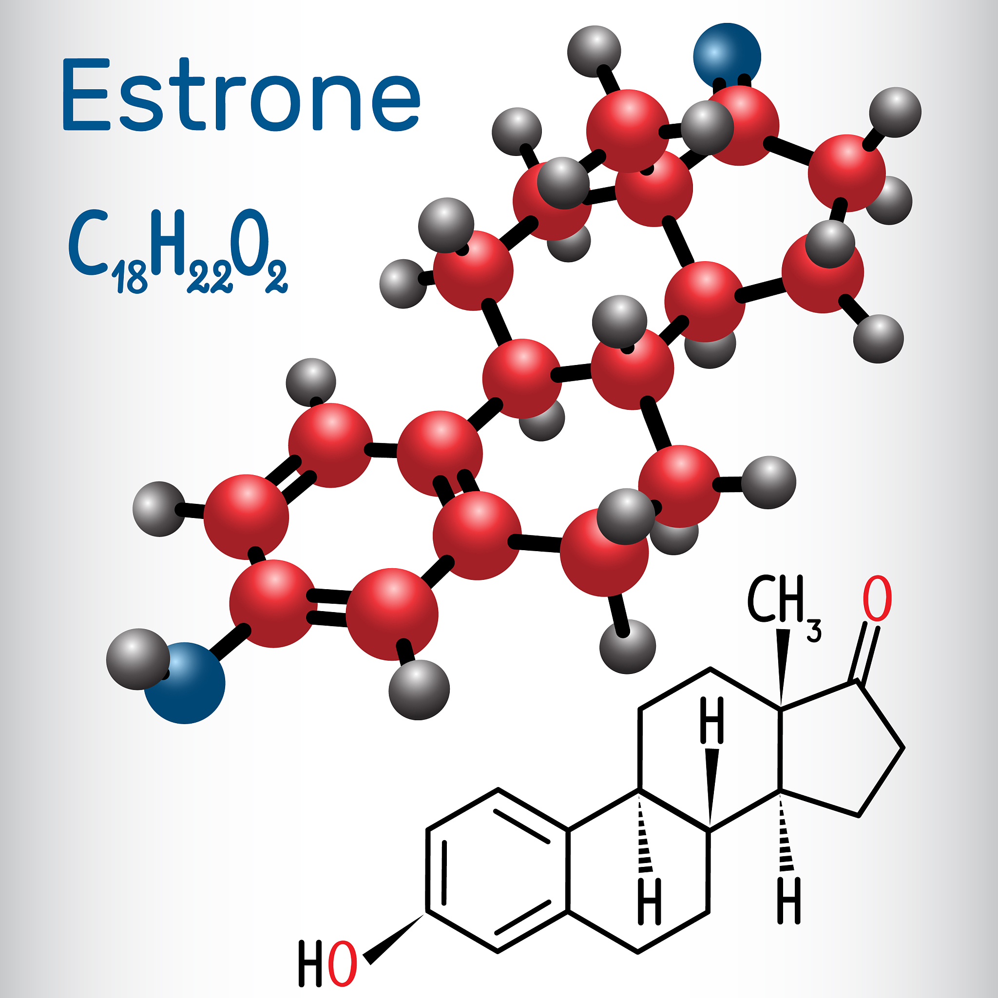 植物代谢综述：从能量供应到环境适应