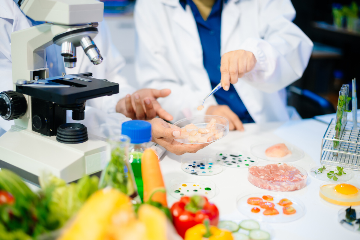 食品营养与检测专业课程内容：核心课程解析