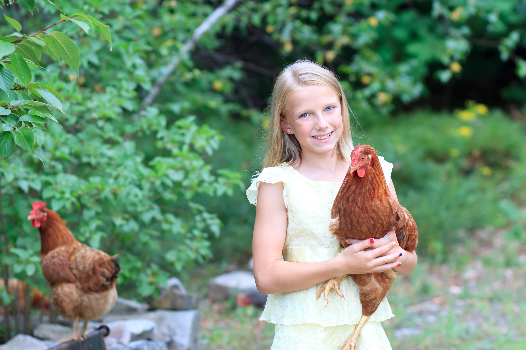 young blonde girl in the garden with her chickens