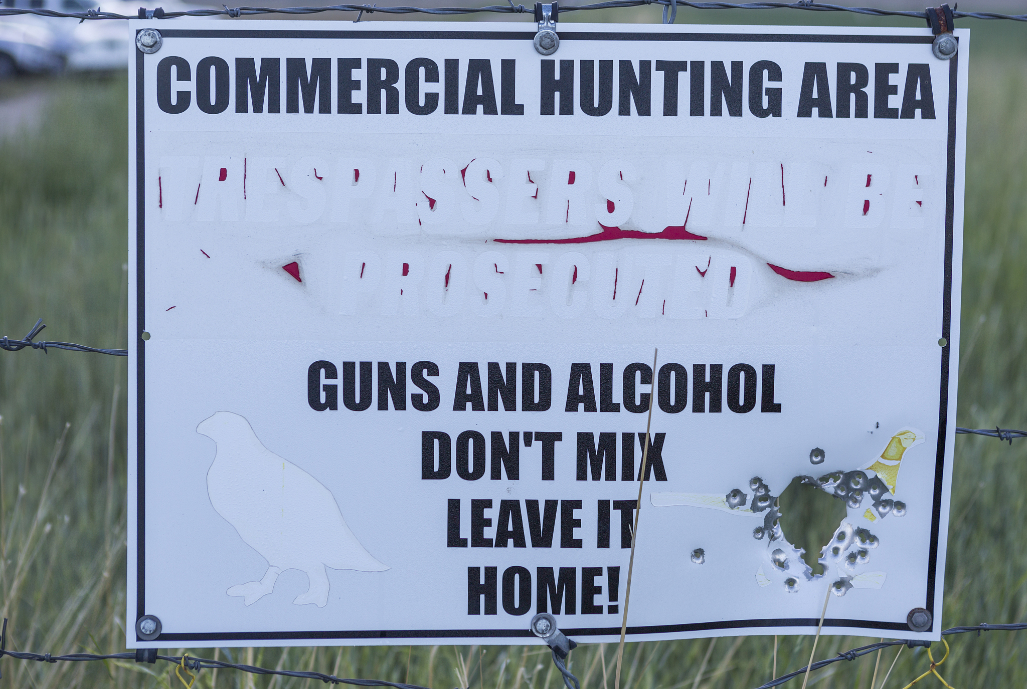 Kite Runner: 10 Key Words and Their Chinese Meanings