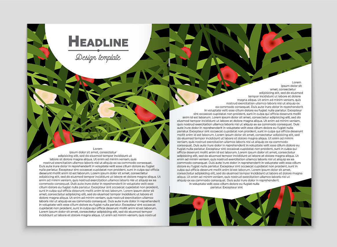 PLANTA 期刊：领域、出版商、出版周期和创刊年