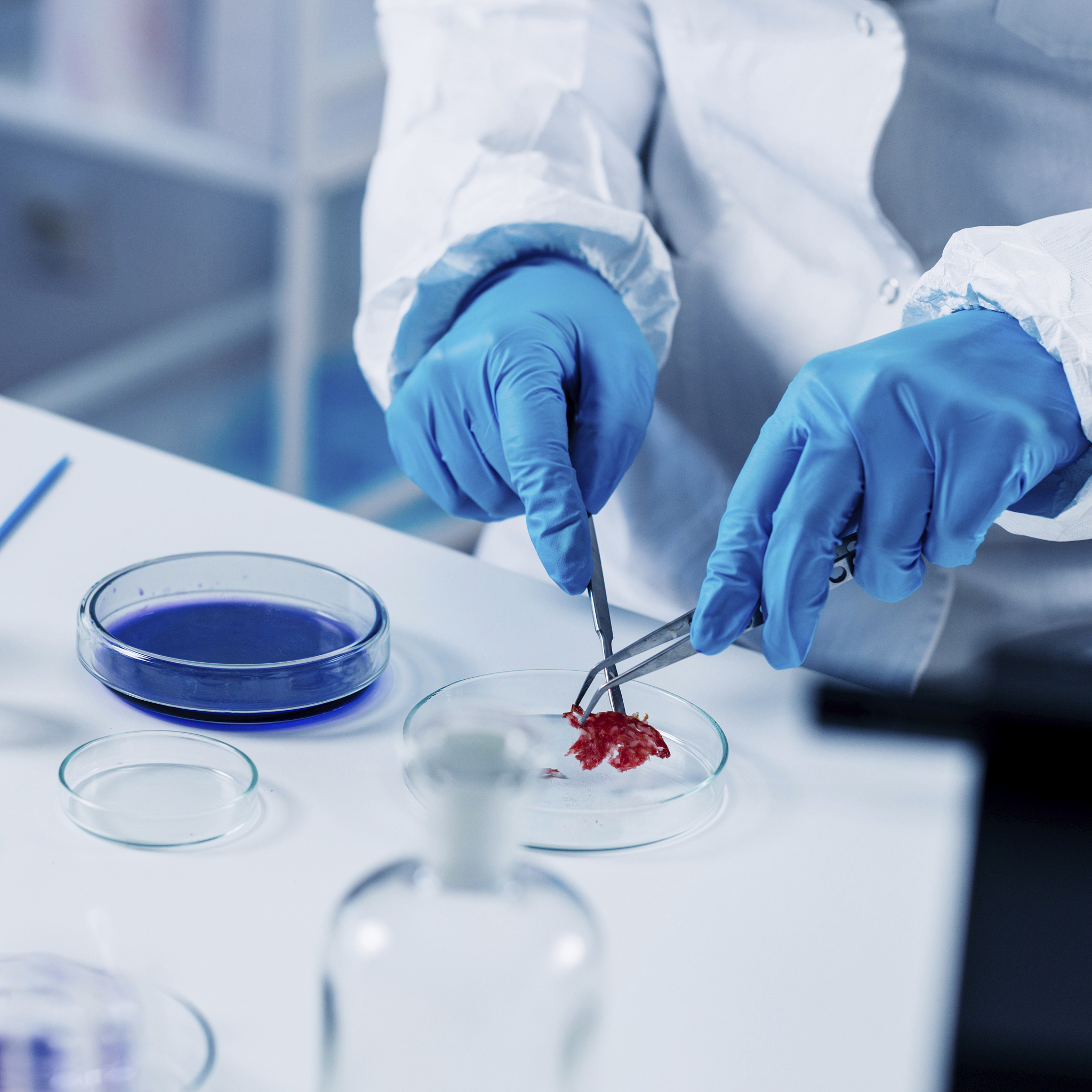 香港理工大学生物医学工程硕士申请博士指南：10个高录取率的博士项目推荐