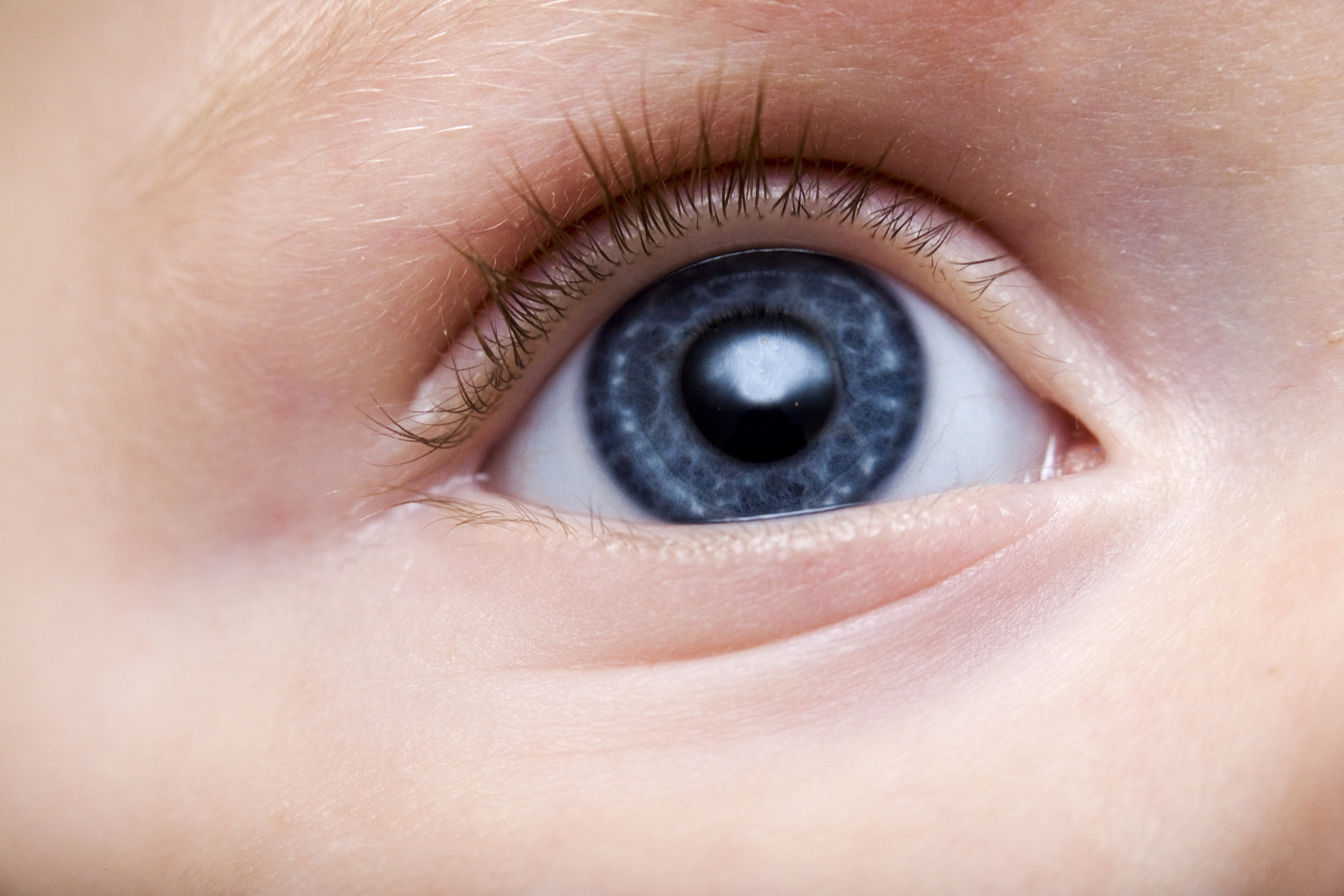 baby's eye