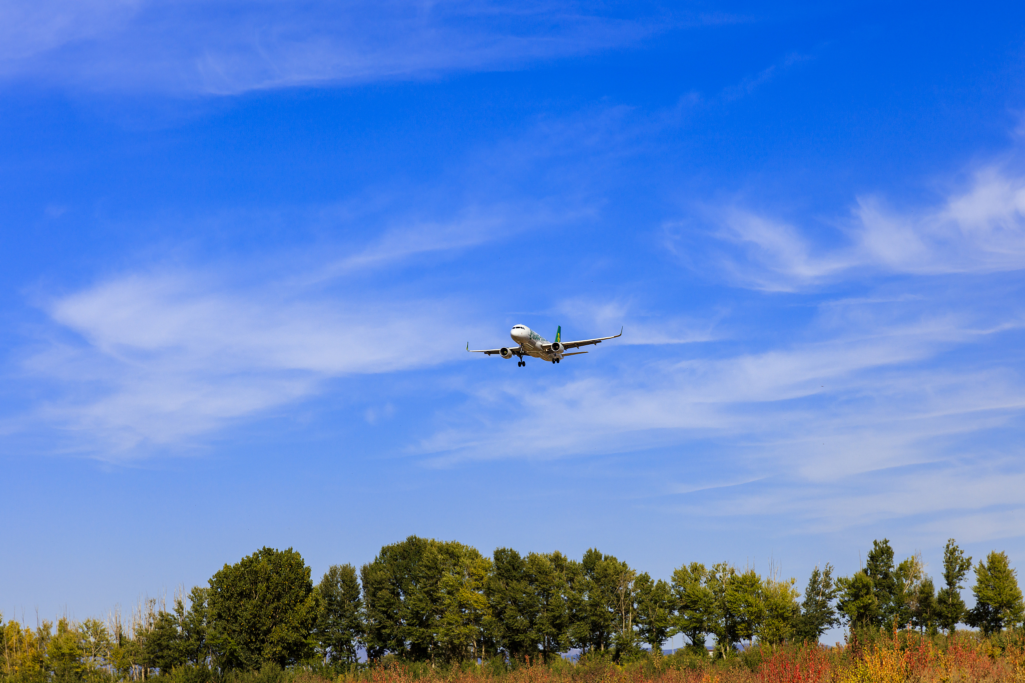 航空专业：环境与生命保障 - 安全与舒适的关键