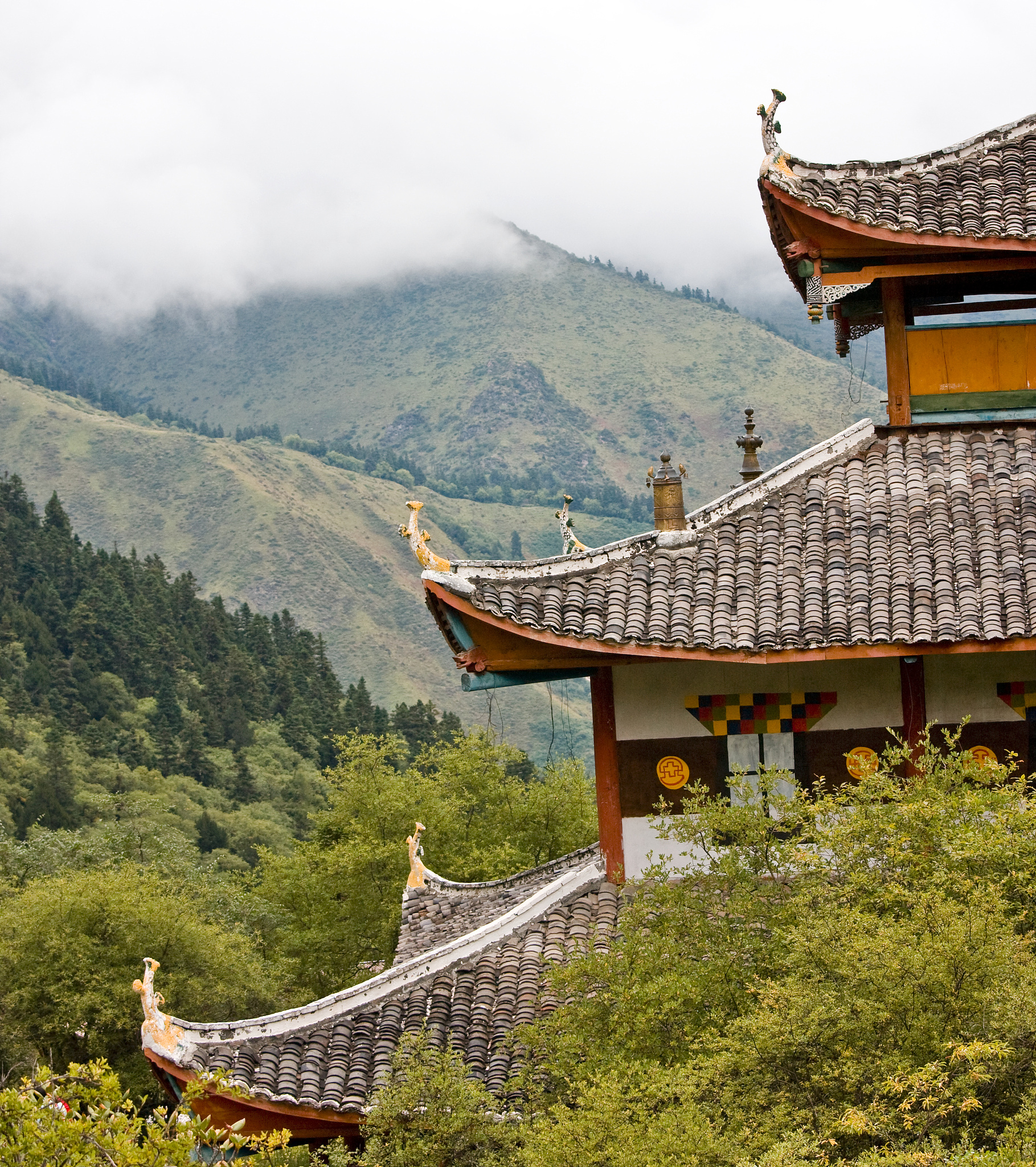 四川建筑职业技术学院给排水工程施工与运行专业可以选择哪些就业方向