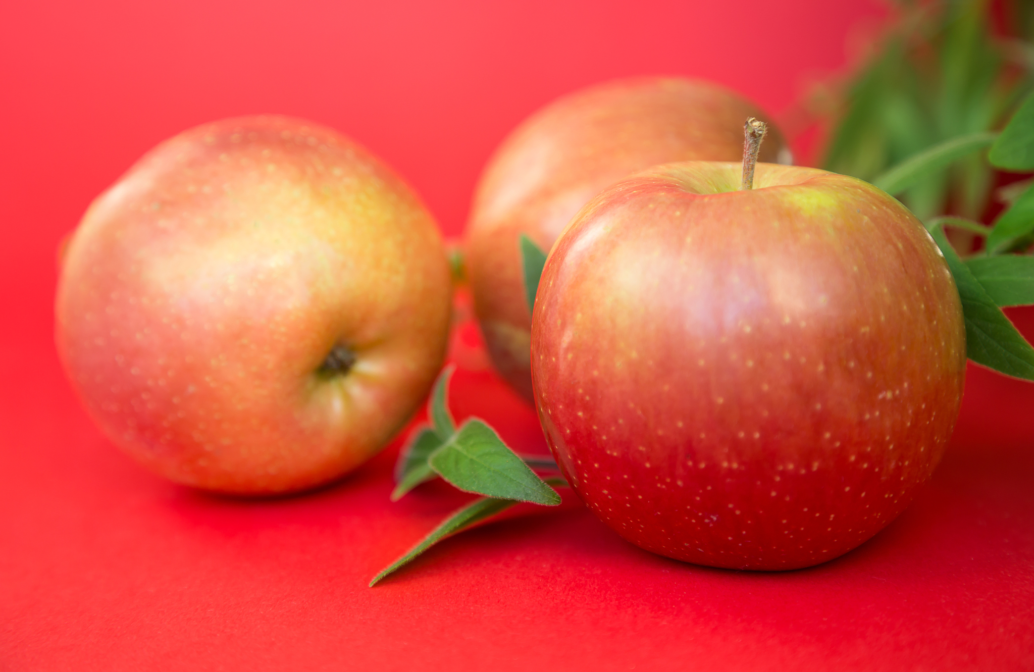 apples