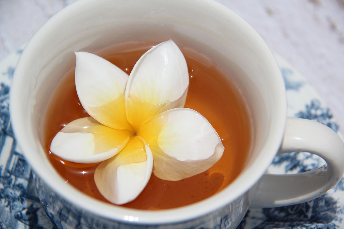 茉莉花茶好卖吗