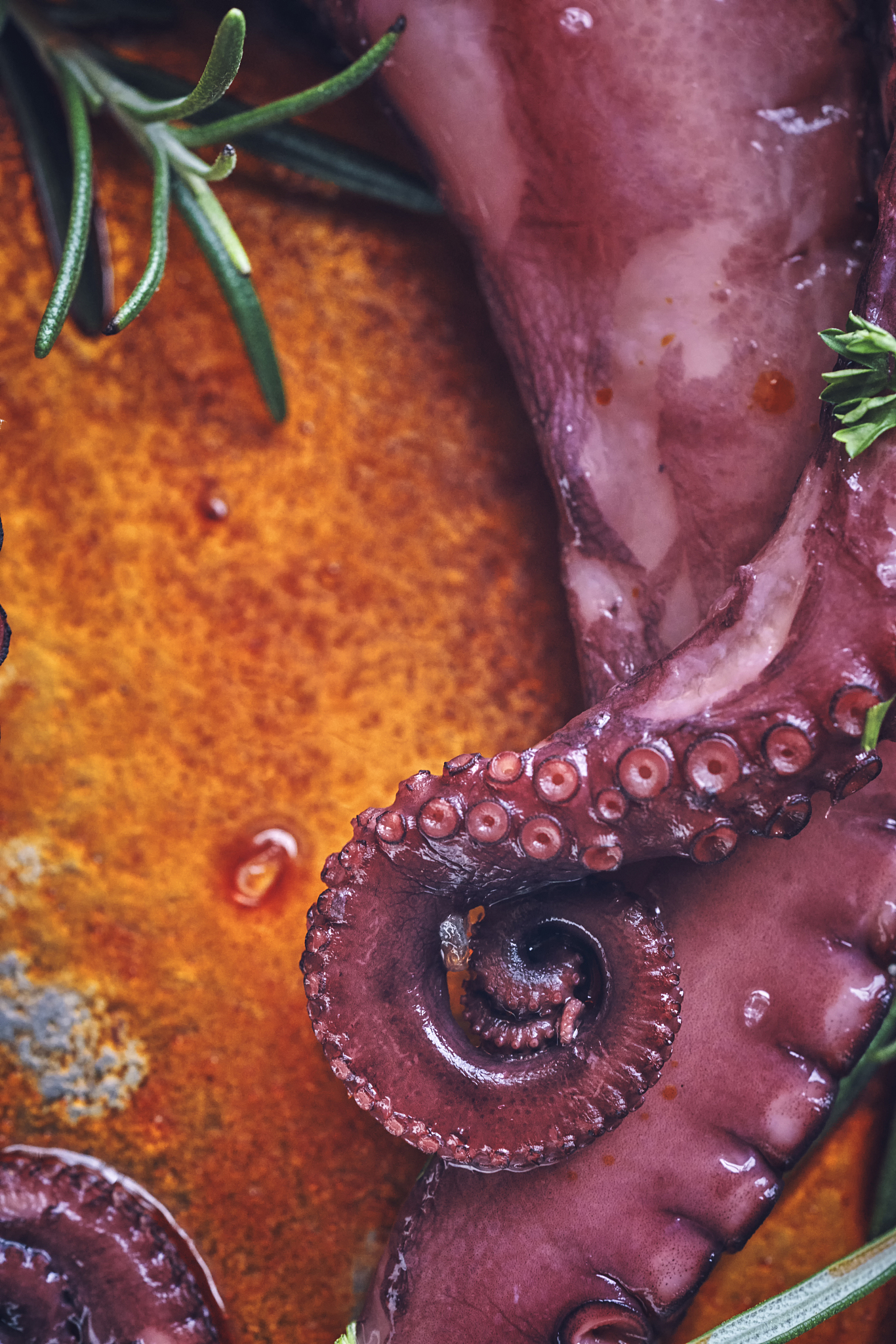 麒麟v10cpu架构arm使用yum安装salt 给出第三方yum源给出安装步骤安装方法