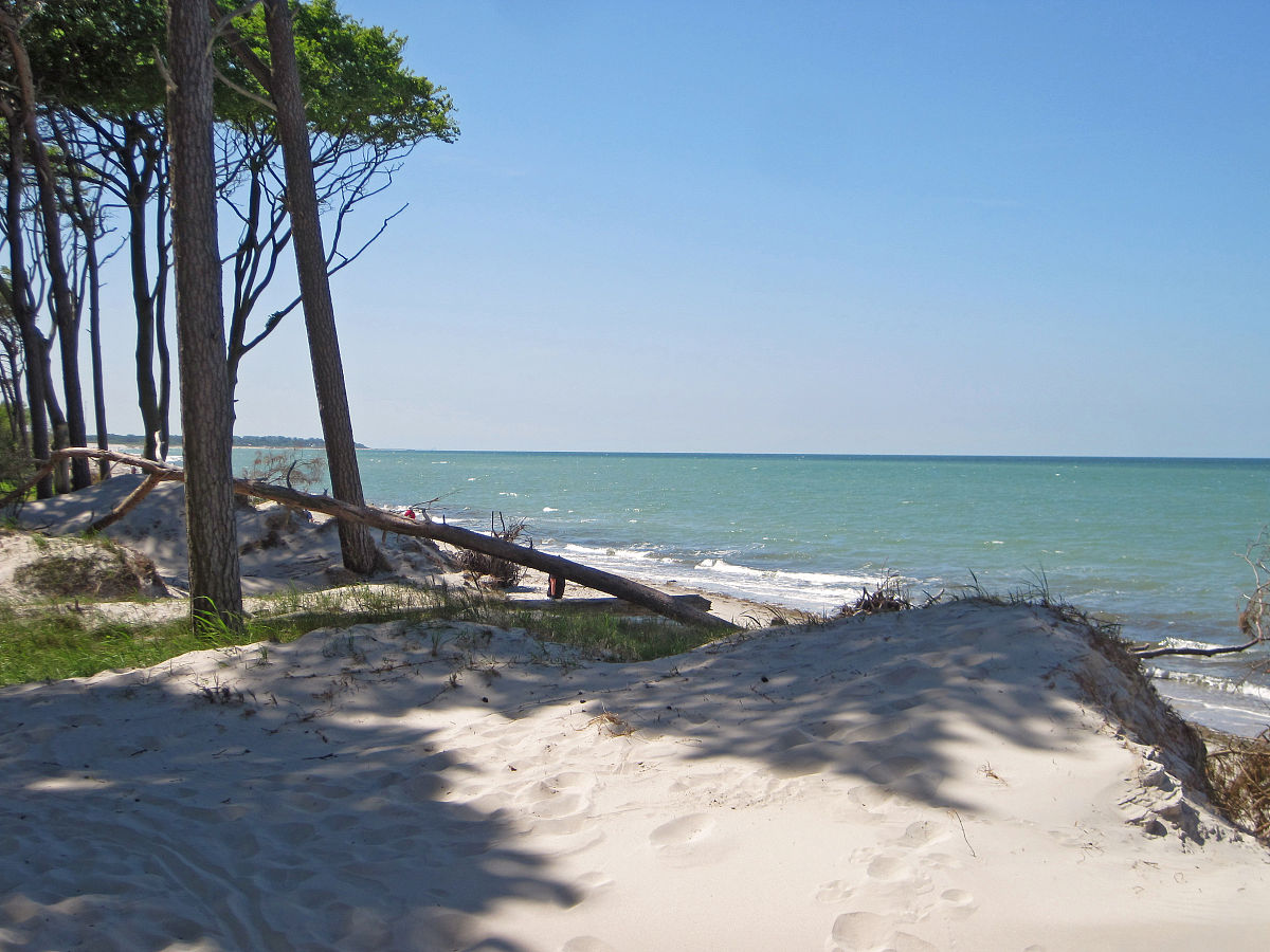 小学暑假什么时候放假