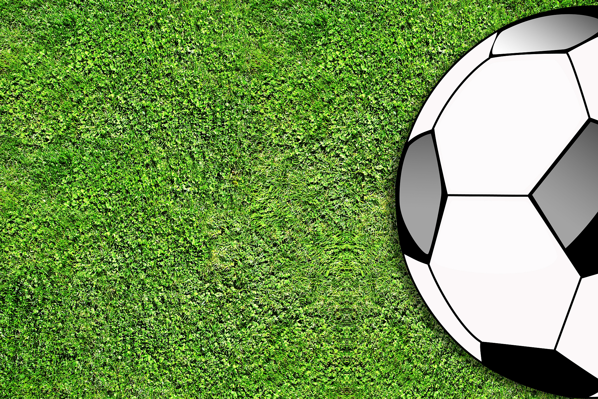 soccer ball in a field.