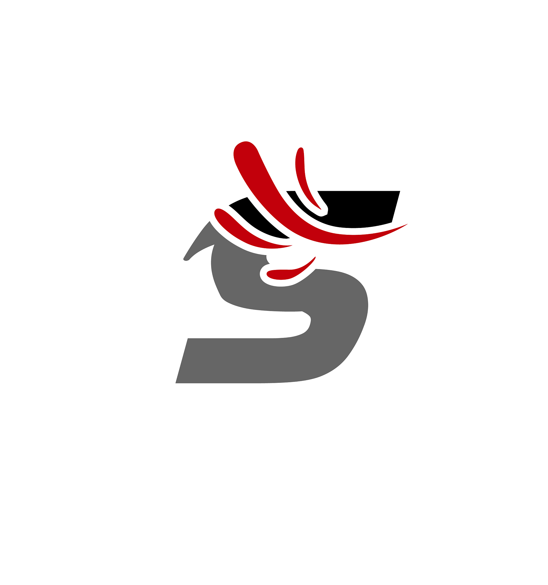letter s logo icon