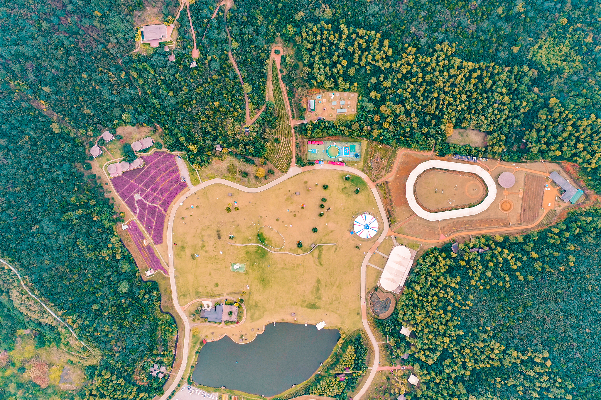 露营地平面图：详细解析与常见内容