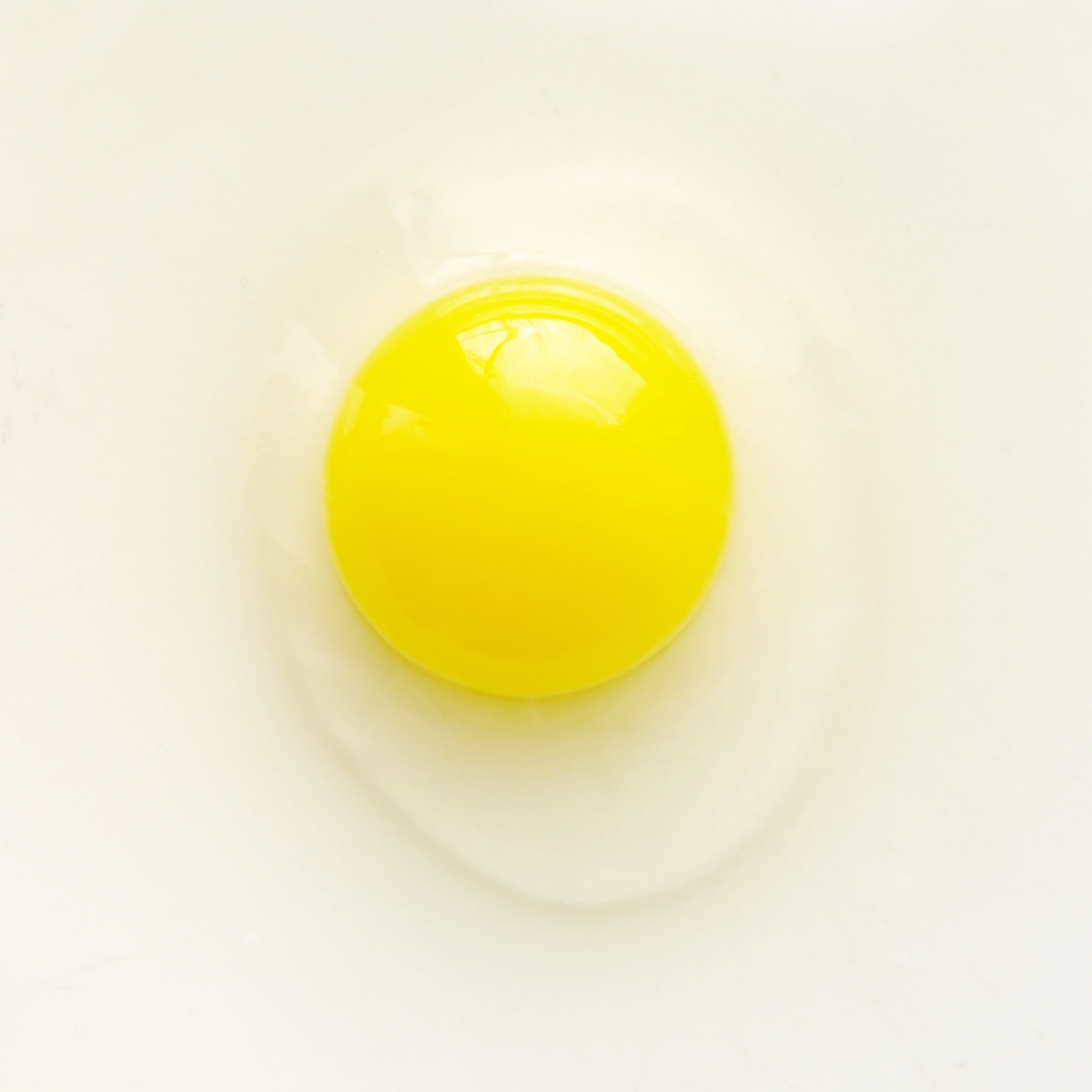 鸡蛋蛋白有多少克蛋白质？ - 营养指南