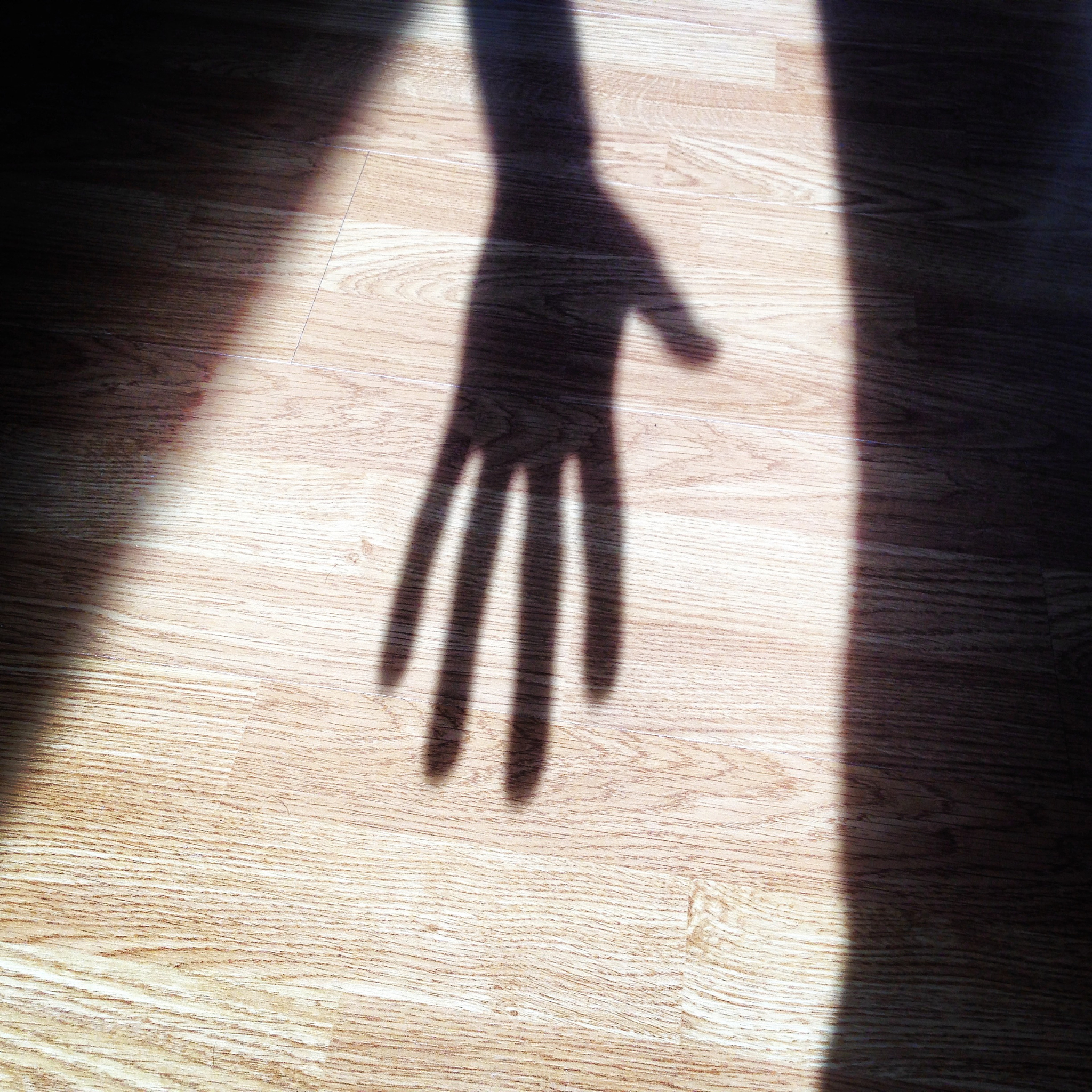 福州媒体曝光求助热线是多少？ 要求：创建1500字的文章不能出现电话