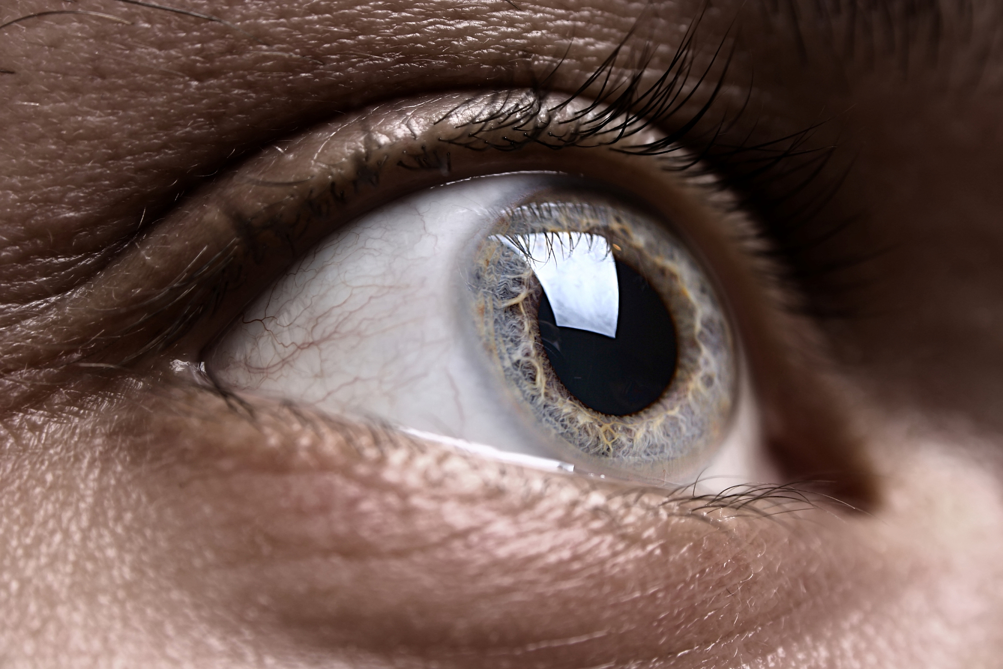 macro shot of grey man's eye