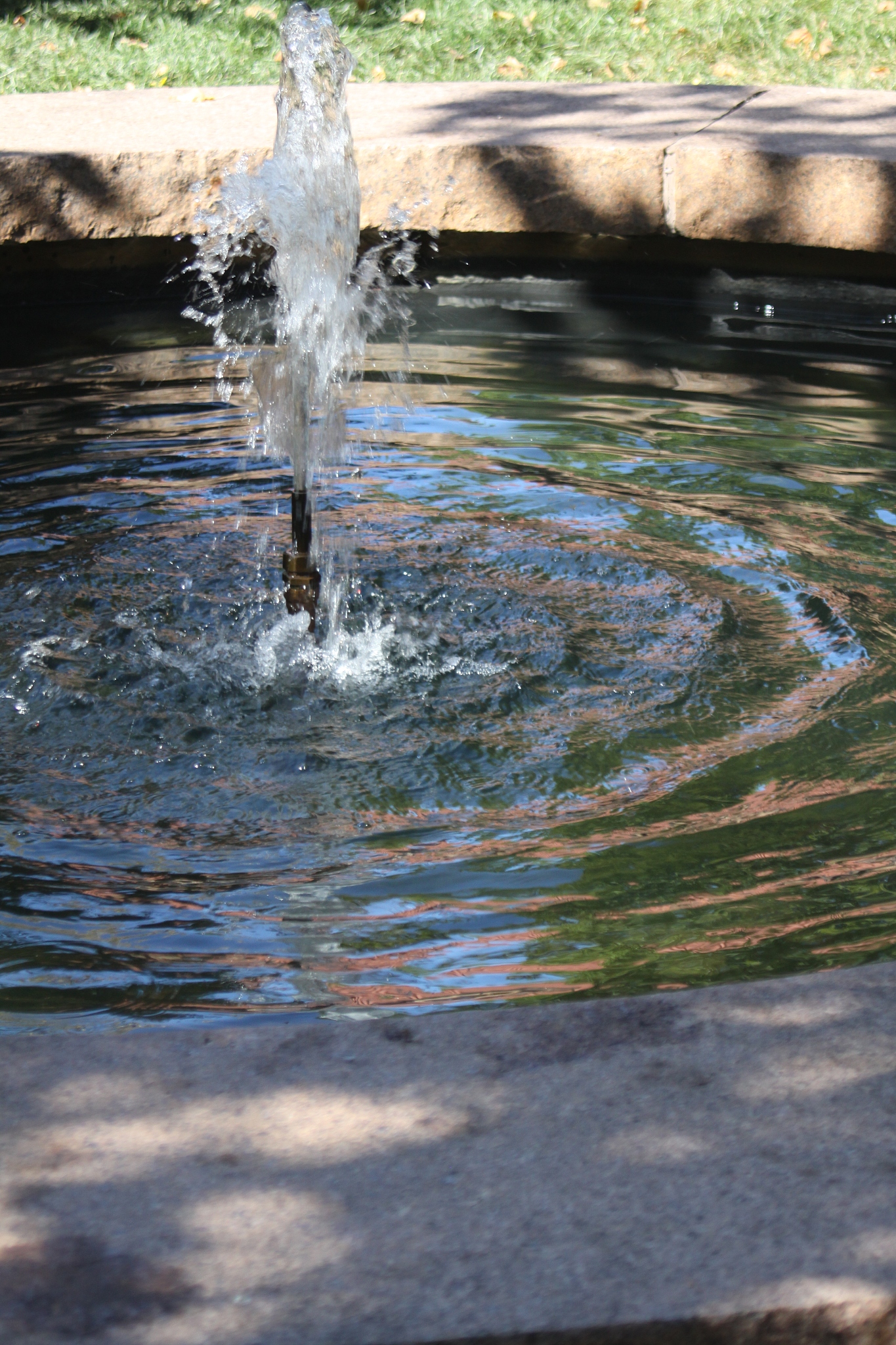 spring和fountain在泉水的意思上有什么区别