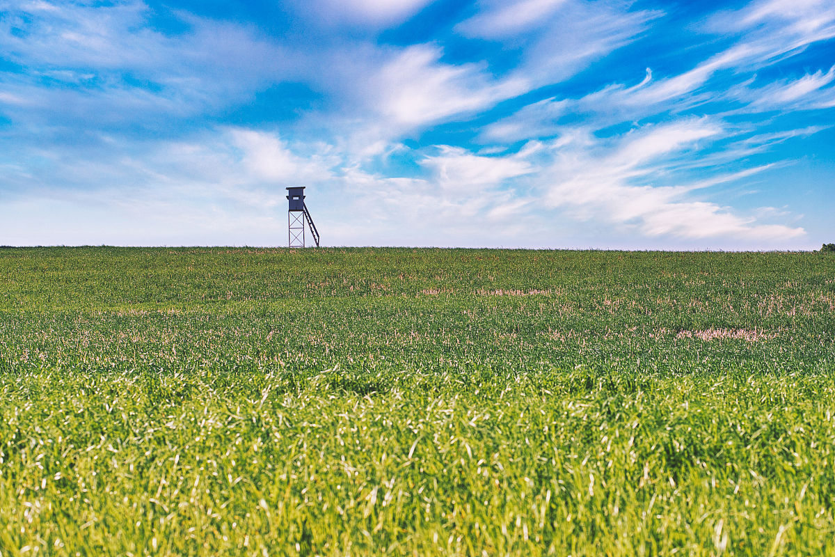 四川省凉山农业学校2019招生简章：电话、联系方式、报名指南