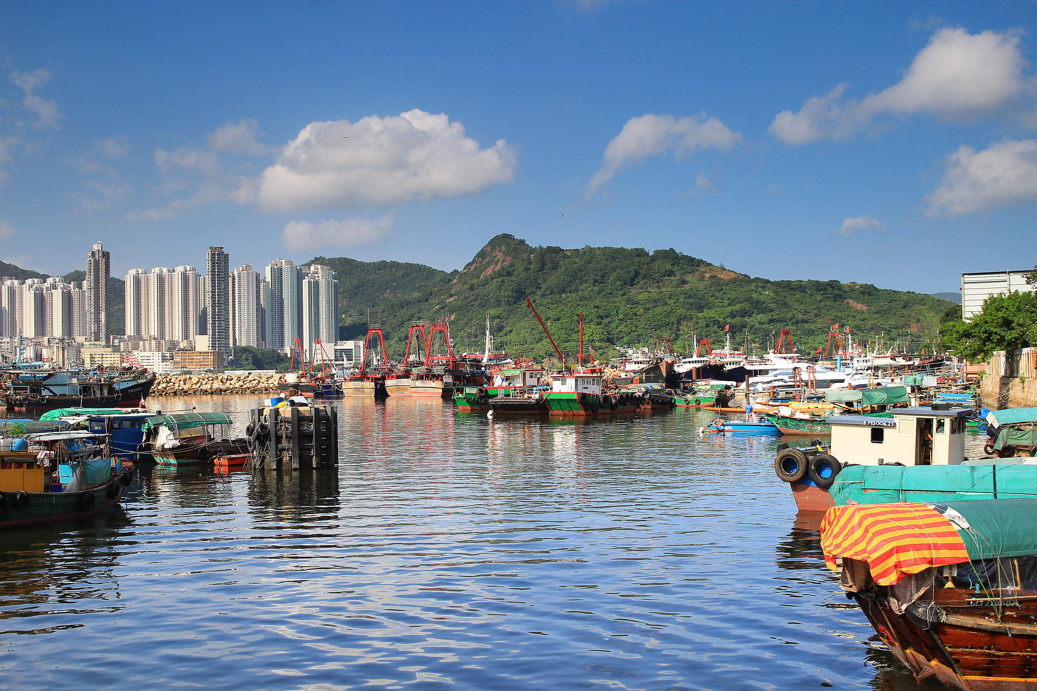 shau kei wan typhoon shelter