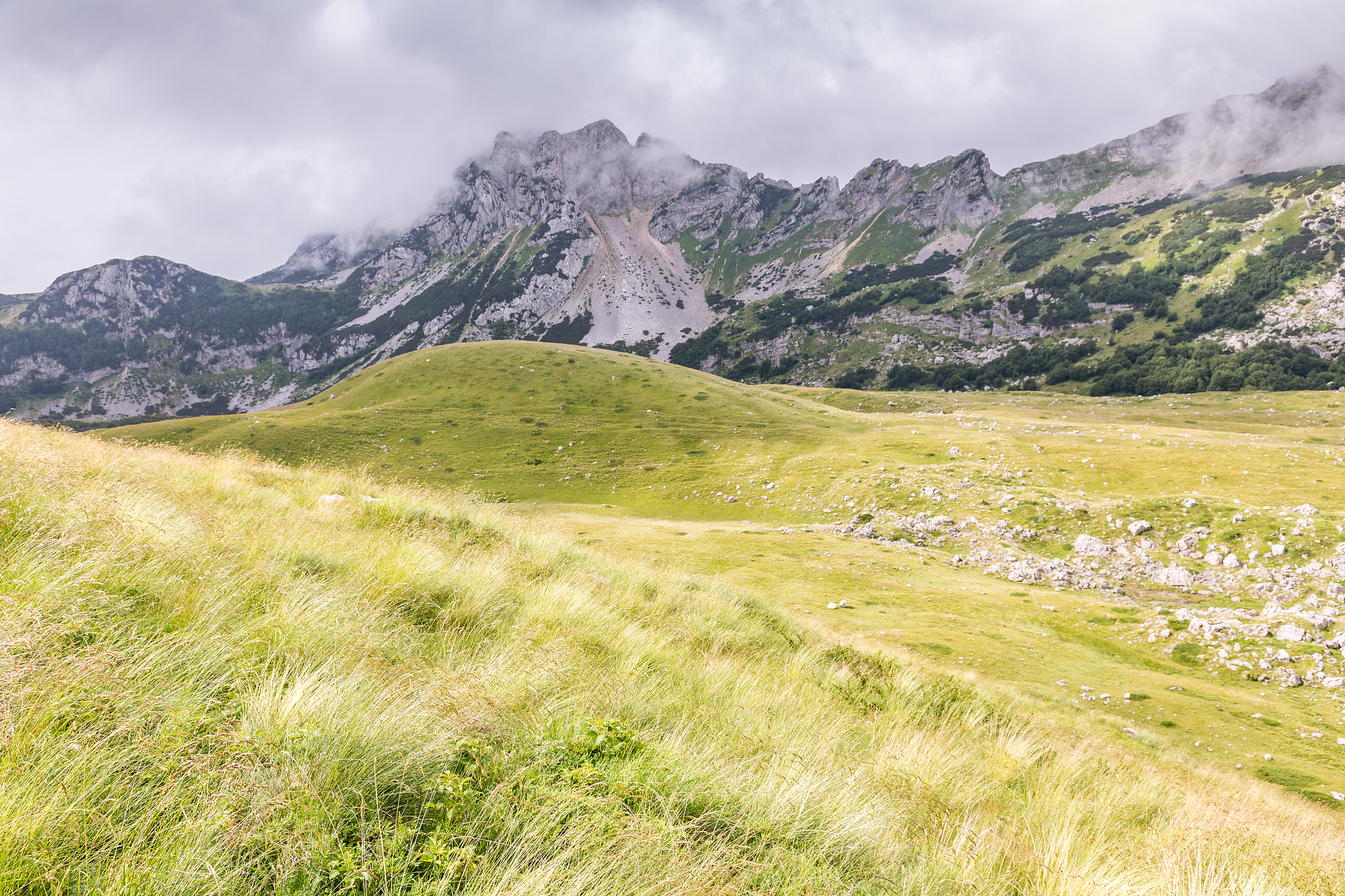 high altitude meadows in durmitor national park
