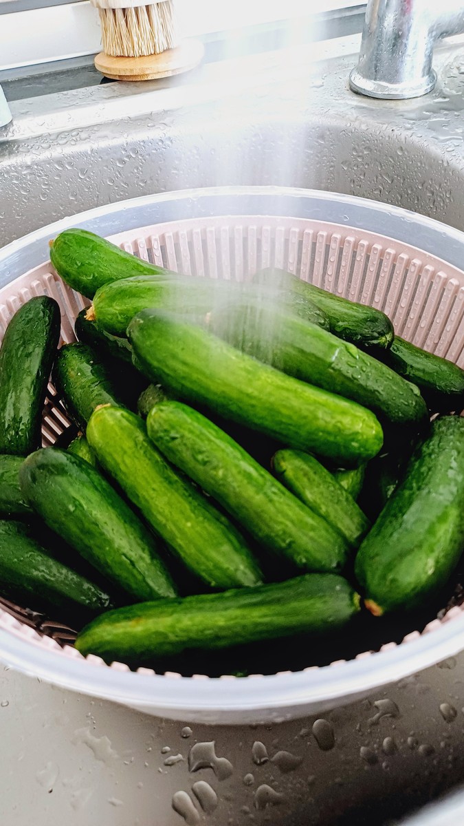 丝瓜冻放冰箱冻了还能吃吗？ - 食用指南及注意事项