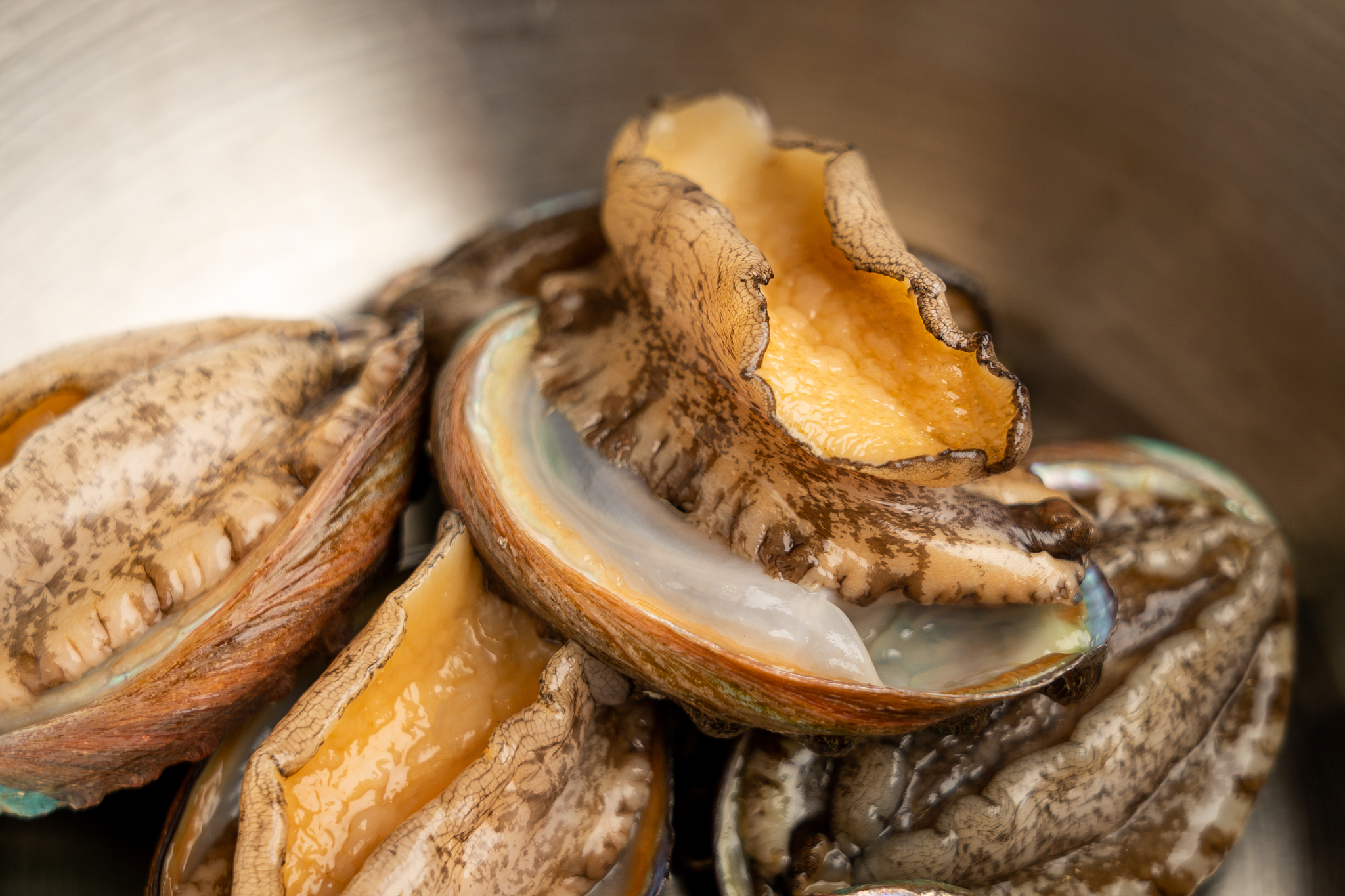 鲍鱼壳上有寄生虫可以炖汤吗