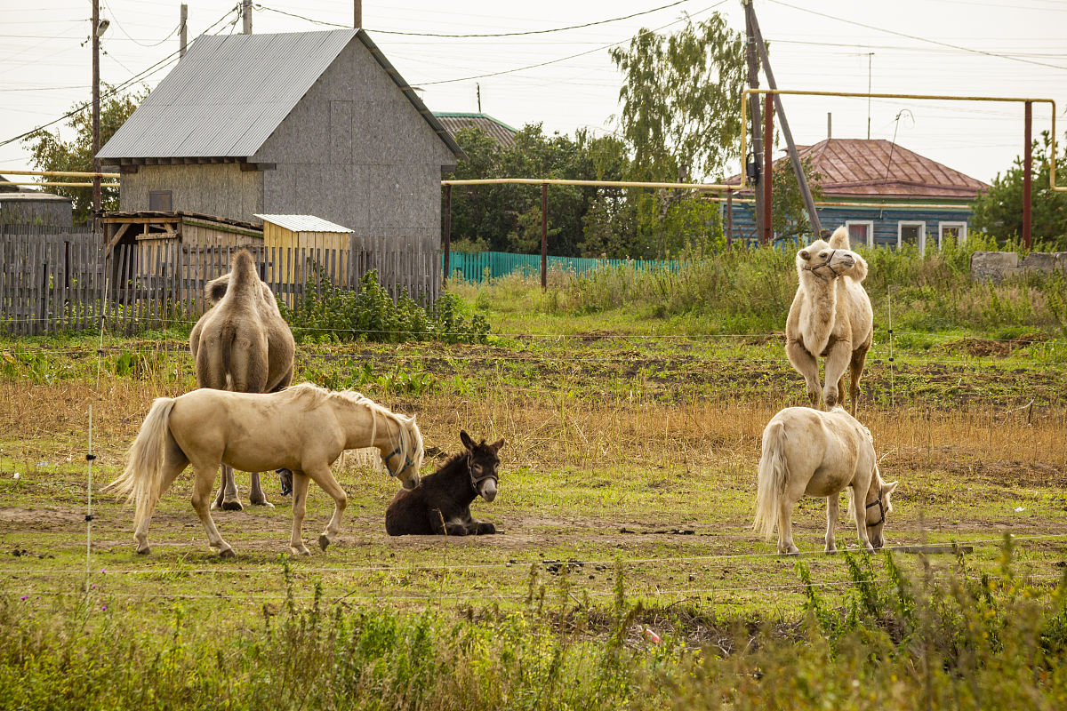 2023临沂市农业学校招生专业及相关信息