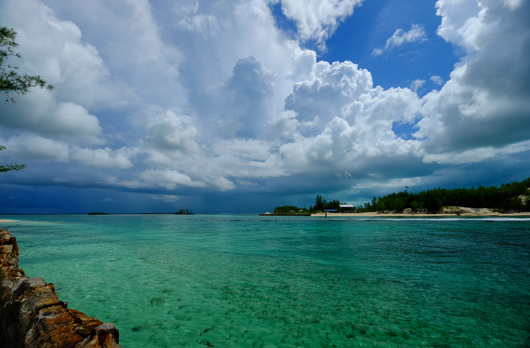 bimini island in the bahamas