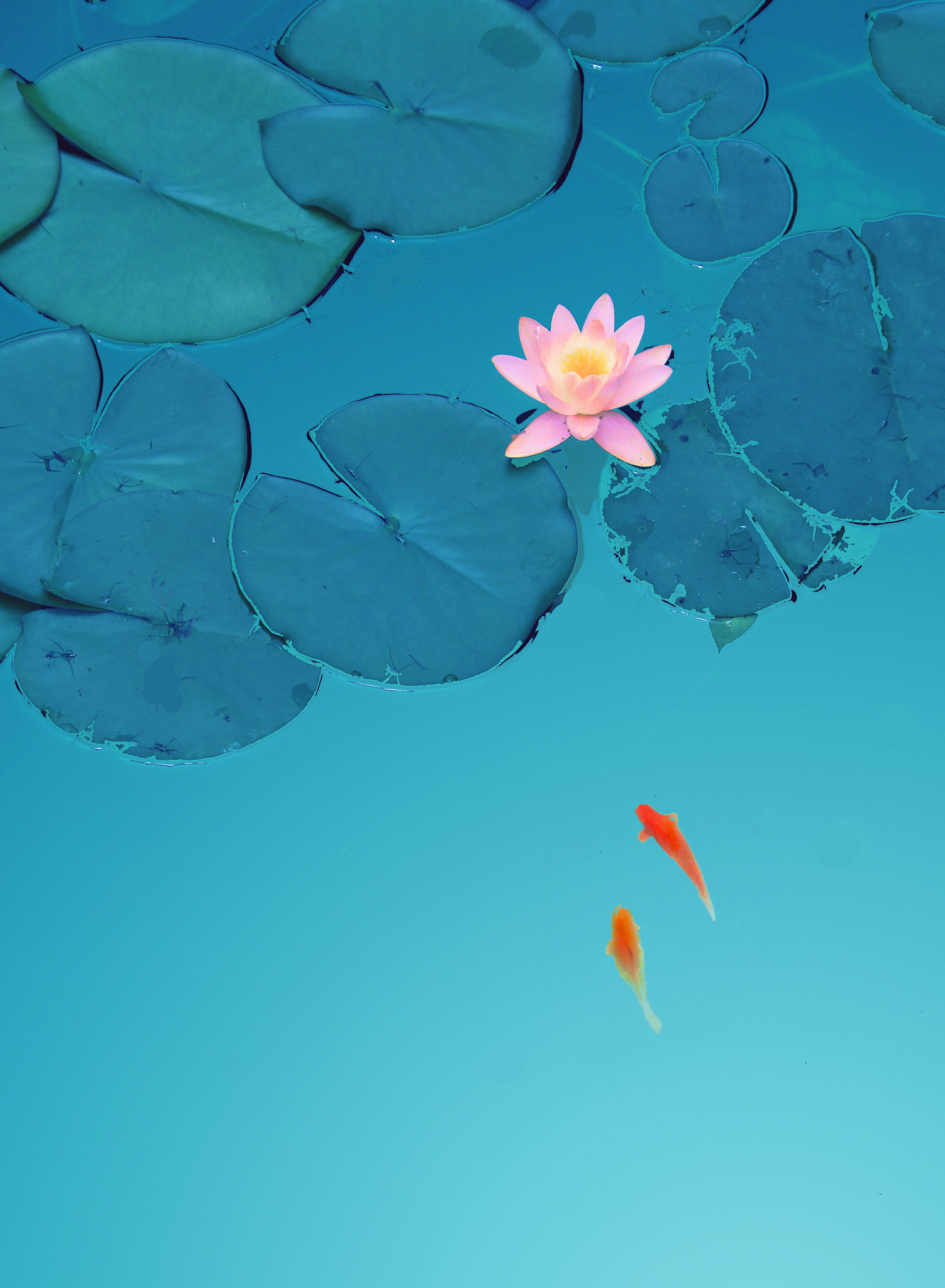 如题：汉乐府《江南》中鱼戏莲叶东下一句 请从下面四个选项中选择一个你认为对的来回答。 1、鱼戏莲叶南 2、鱼戏莲叶北 3、鱼戏莲叶中 4、鱼戏莲叶西