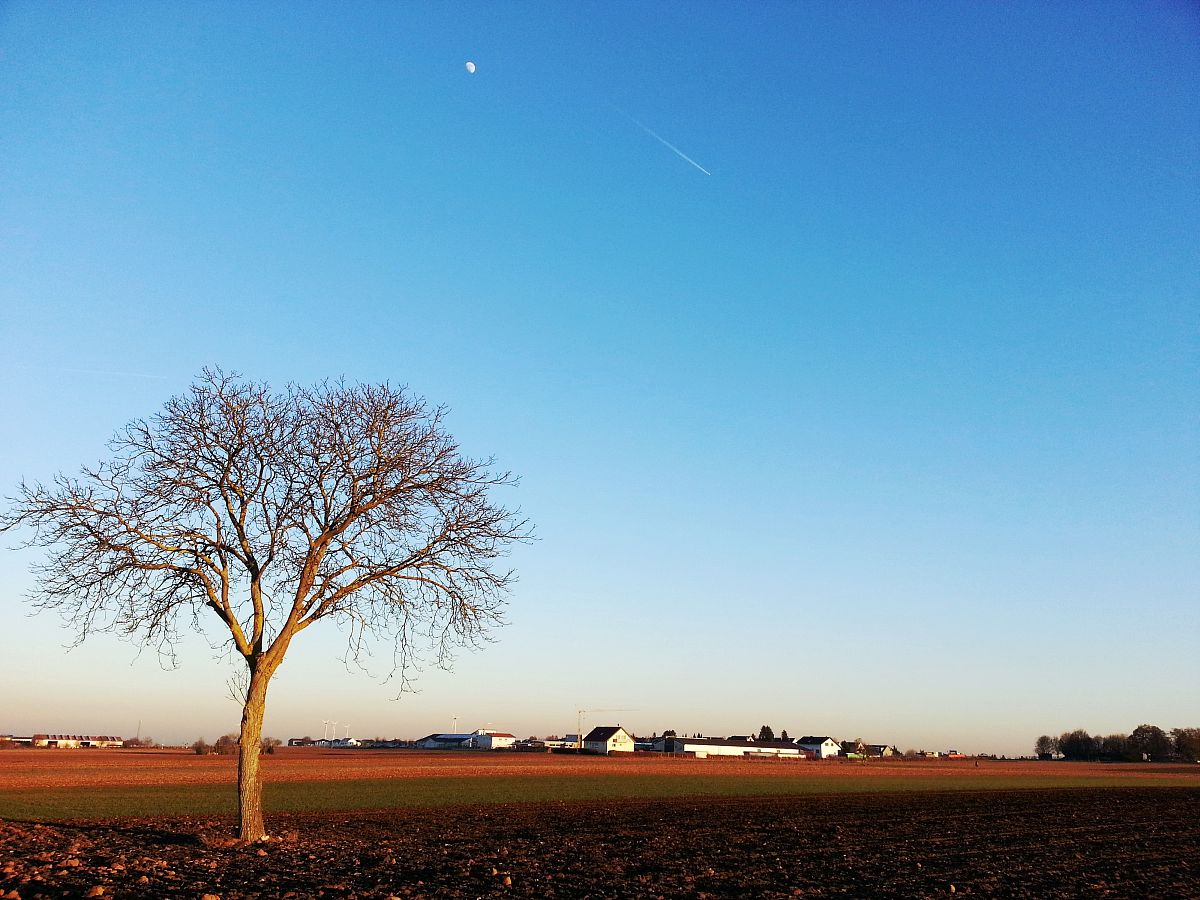 爱加班爱敲代码被骂的大圣的赞美词