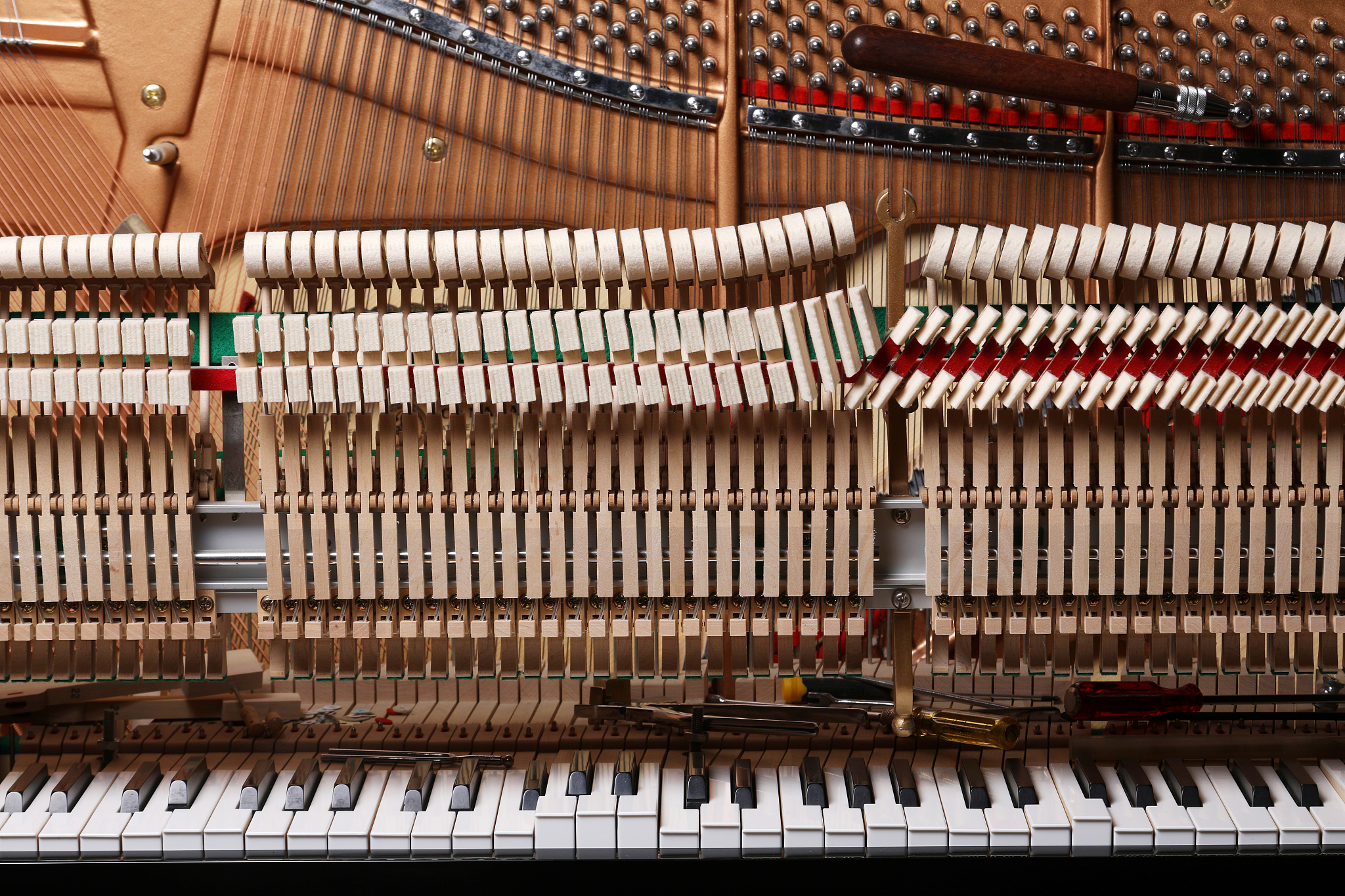 类似于奏鸣曲三重奏的名词