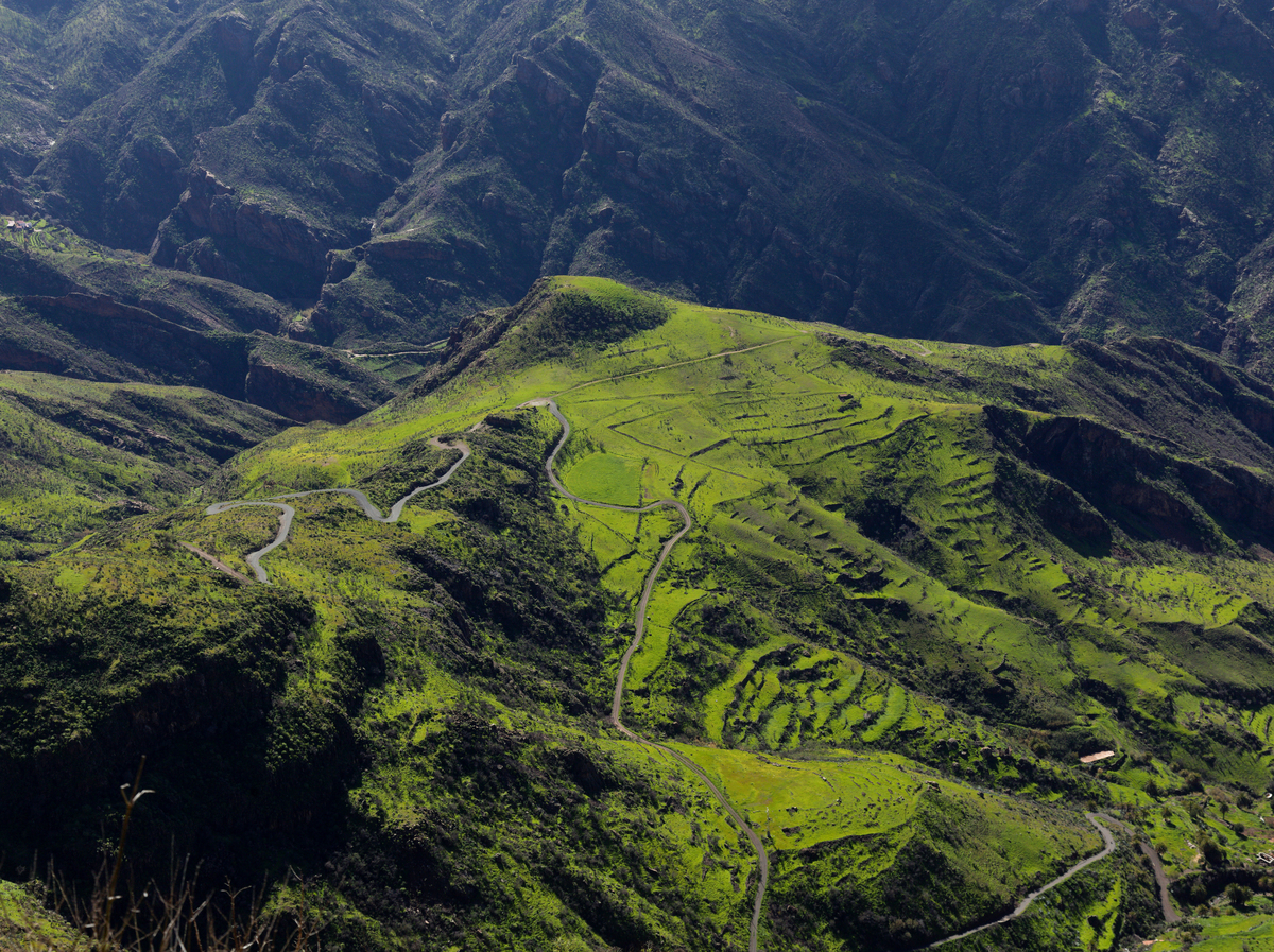 大加那利岛,岛屿中部景观,拉斯坎布雷斯(即山峰),泰德