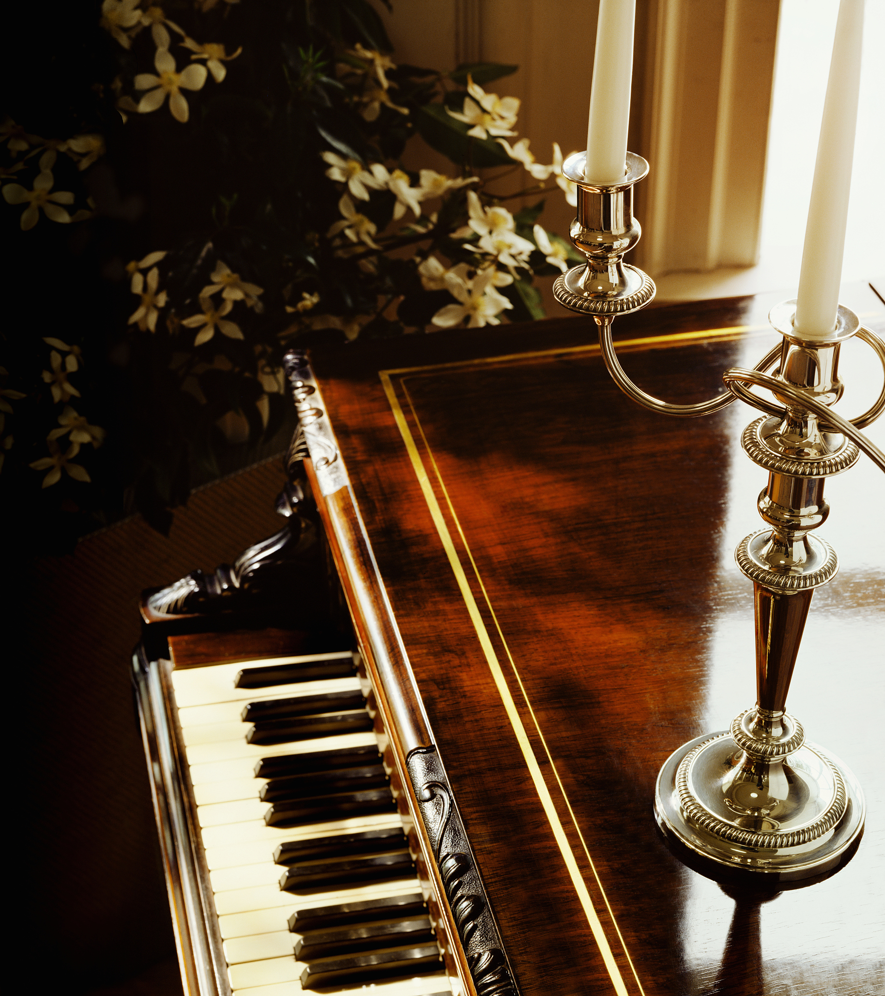 广西二轻工业管理学校音乐教育专业招生简章 - 培养未来音乐教育人才