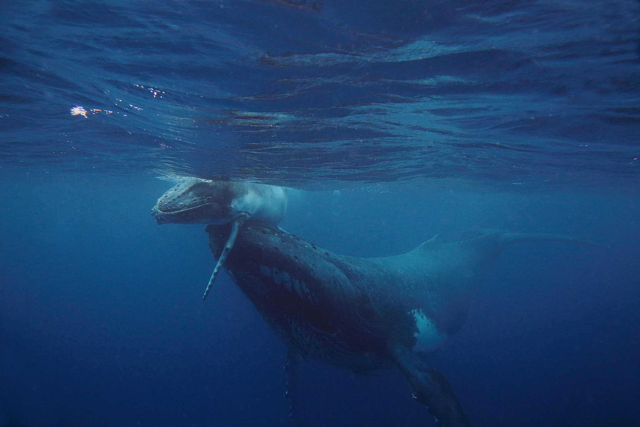 Structures 期刊研究范围：结构工程与力学前沿