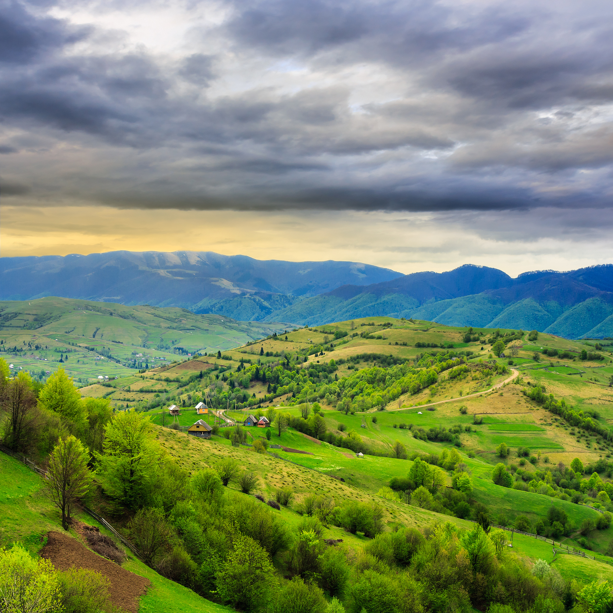 village on hillside meadow with forest in mountain