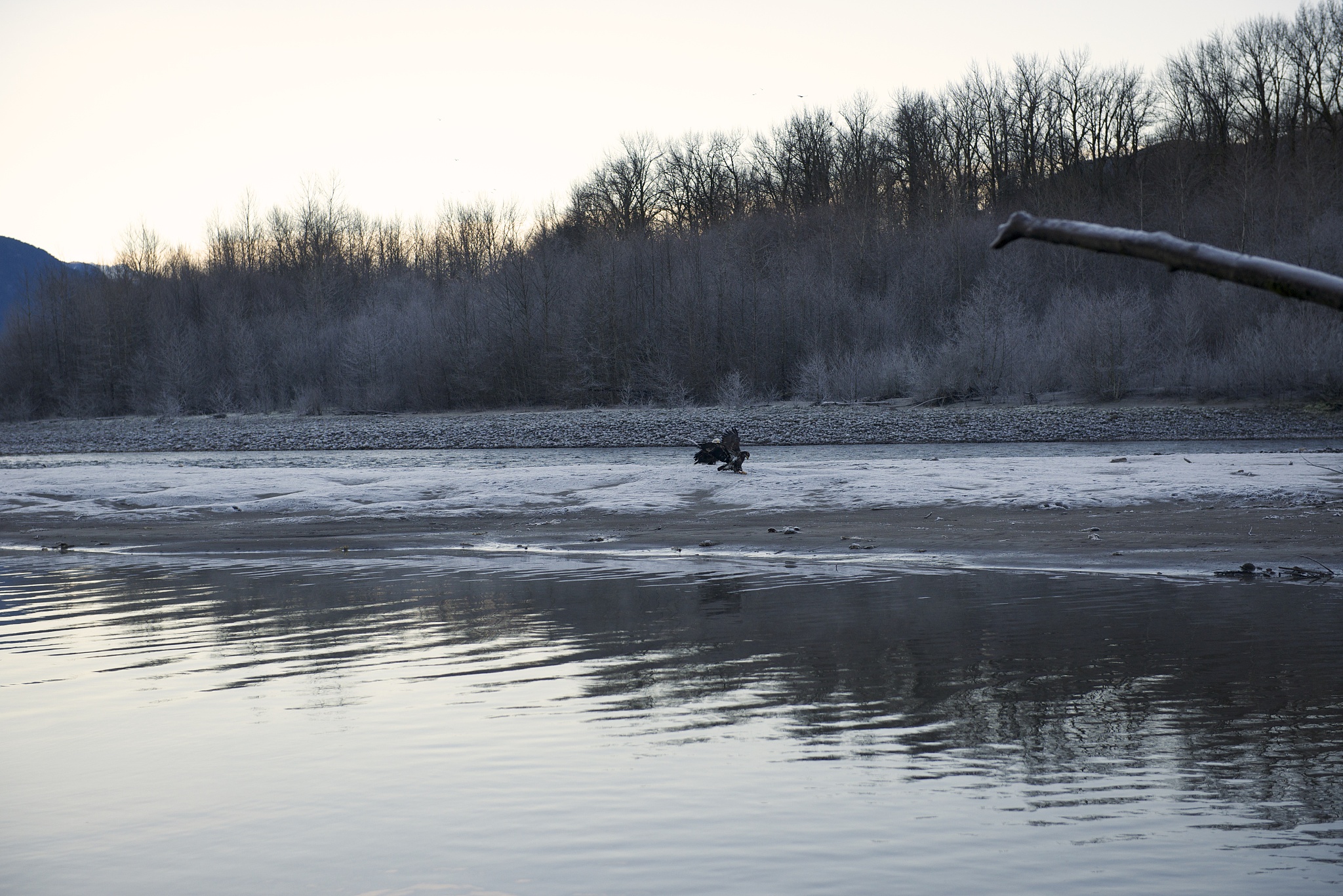 带水的诗句：江水流不尽，海水倒悬天
