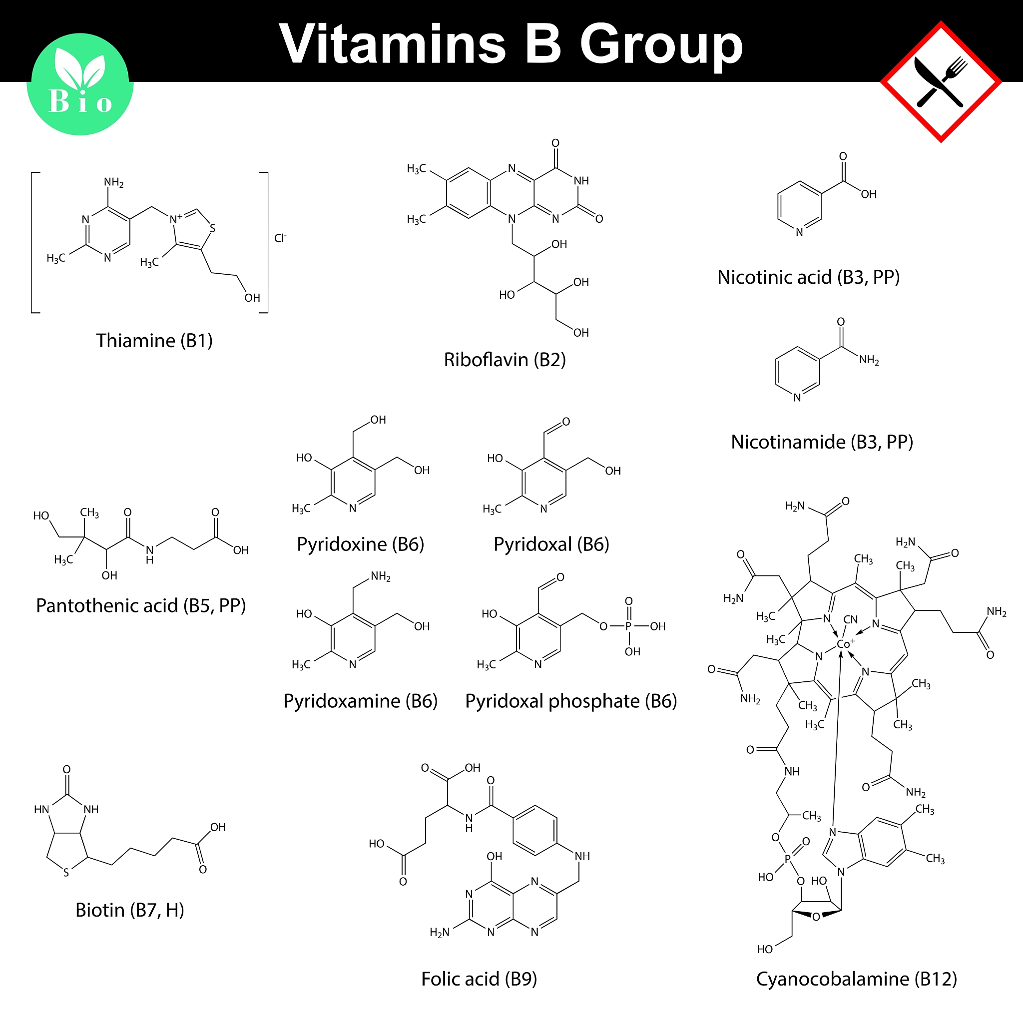 毛果杨Ptr-SND1-B1过表达调控网络解析：76个直接调控基因及纤维细胞壁变薄表型