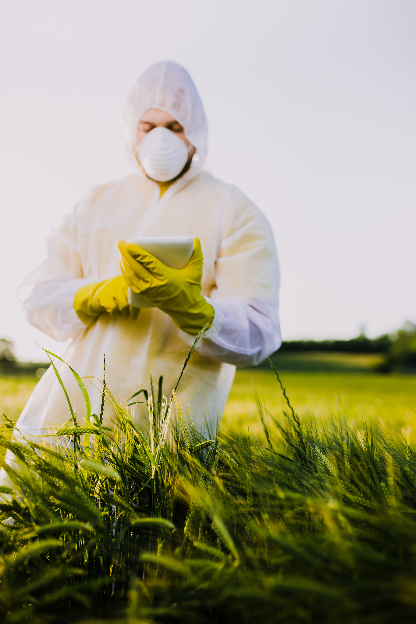 Published Patent: Real-time Steel Plate Defect Detection System