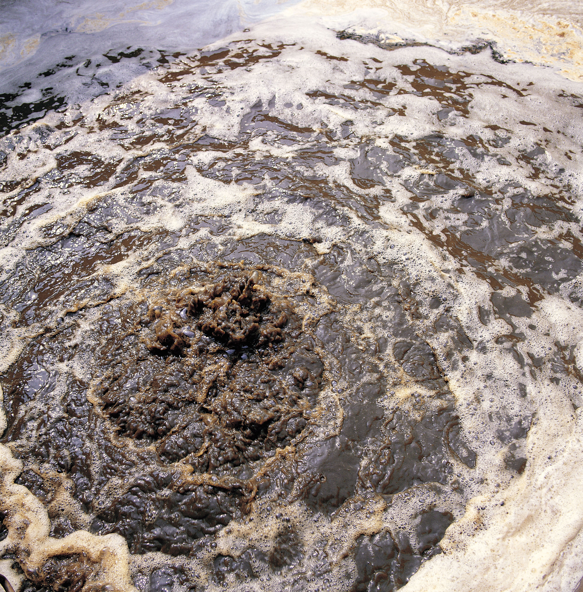 生成一篇题目为水污染监测与治理的研究综述要求不少于3000字