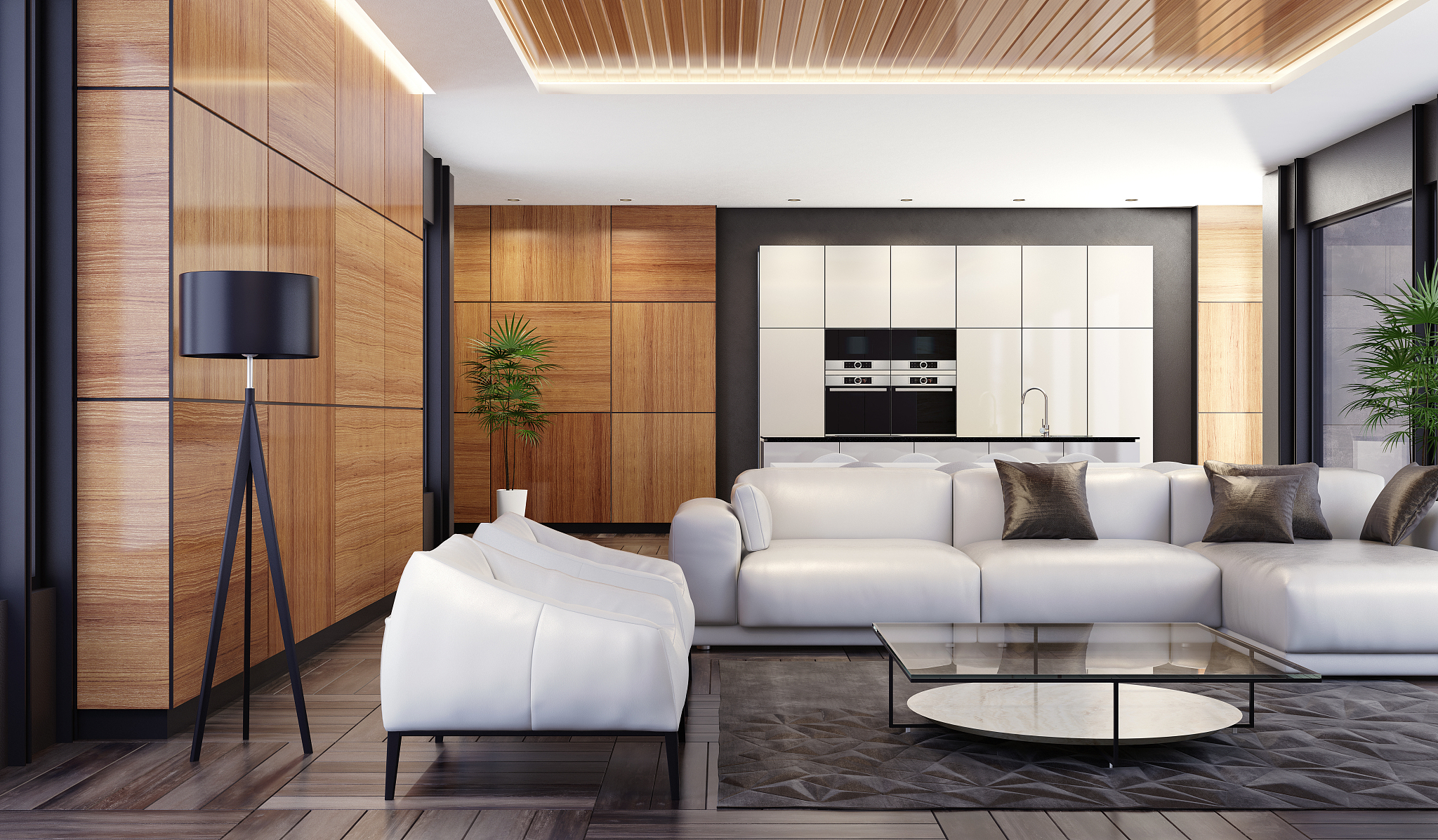 luxury minimalist open space living room with kitchen and dining